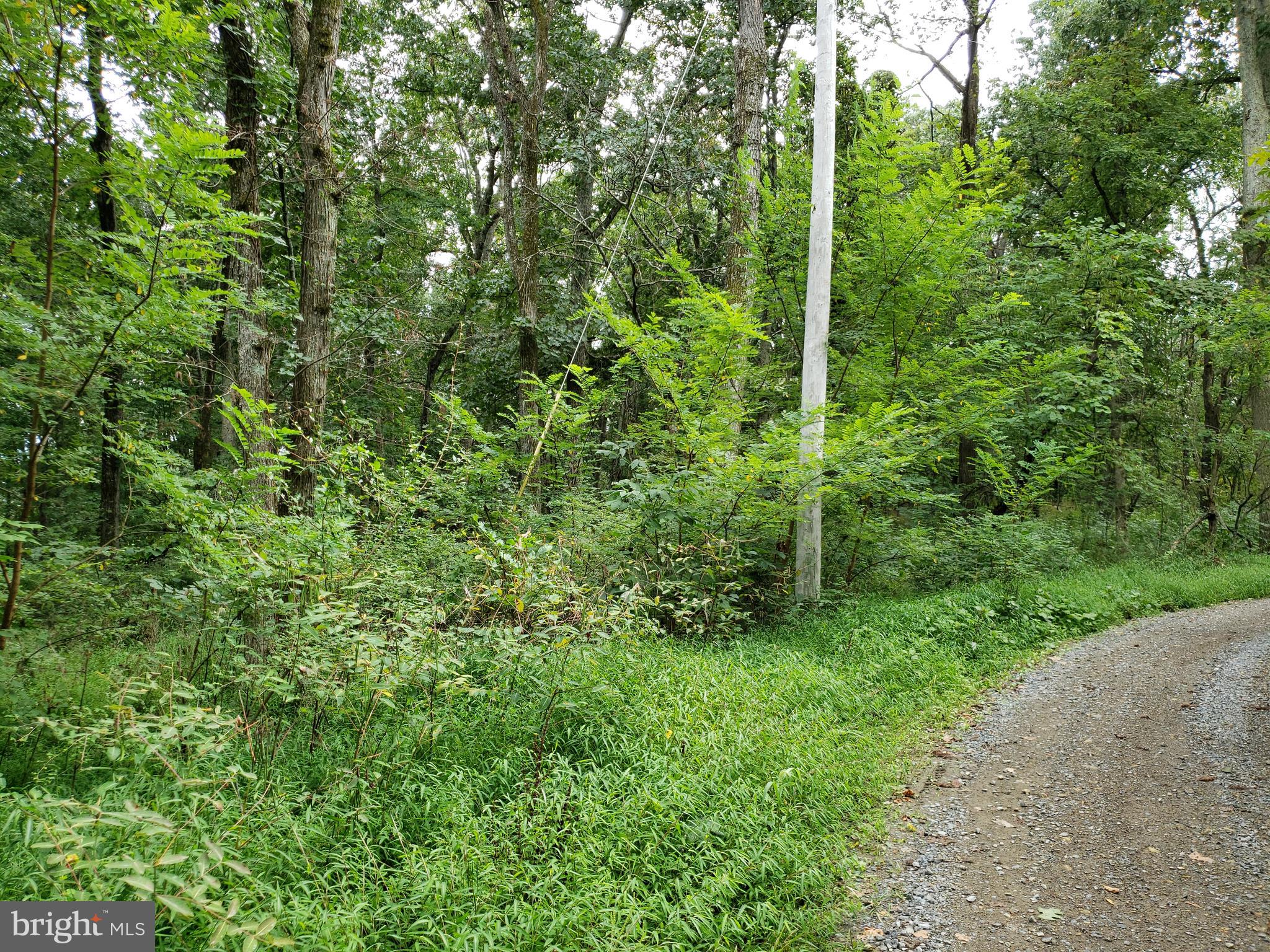 RITTERS HIDDEN VALLEY ESTATES - Land