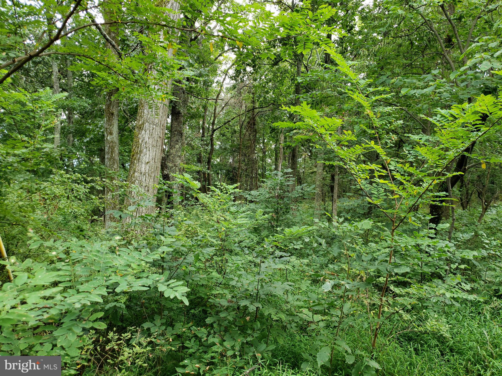 RITTERS HIDDEN VALLEY ESTATES - Land