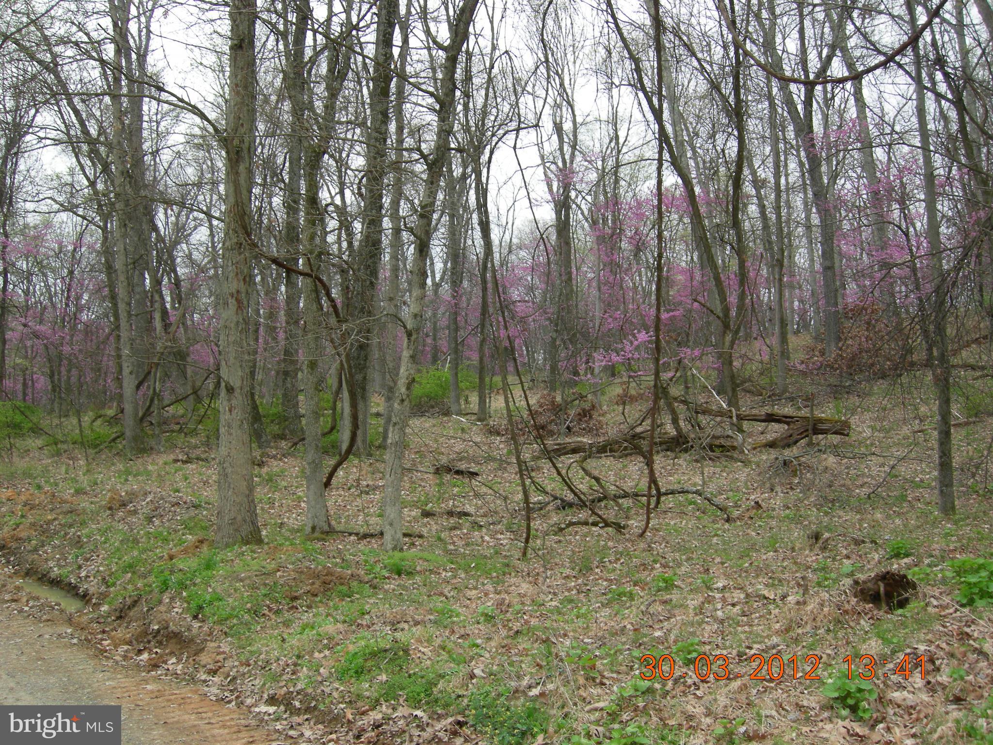 RITTERS HIDDEN VALLEY ESTATES - Land