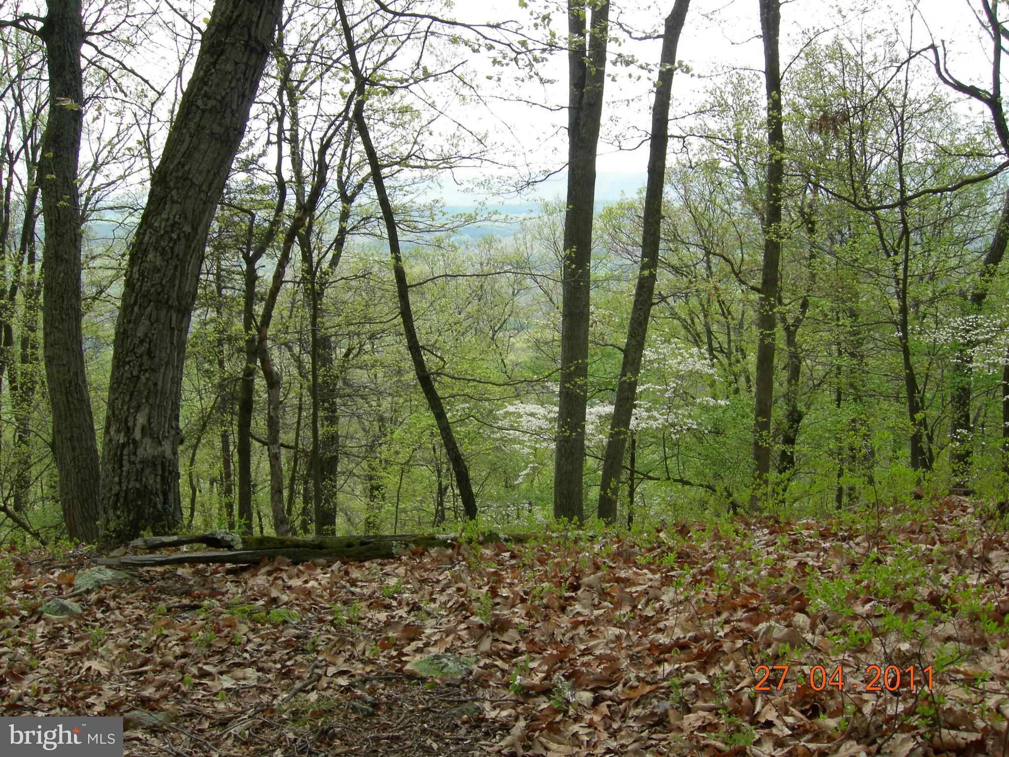 RITTERS HIDDEN VALLEY ESTATES - Land