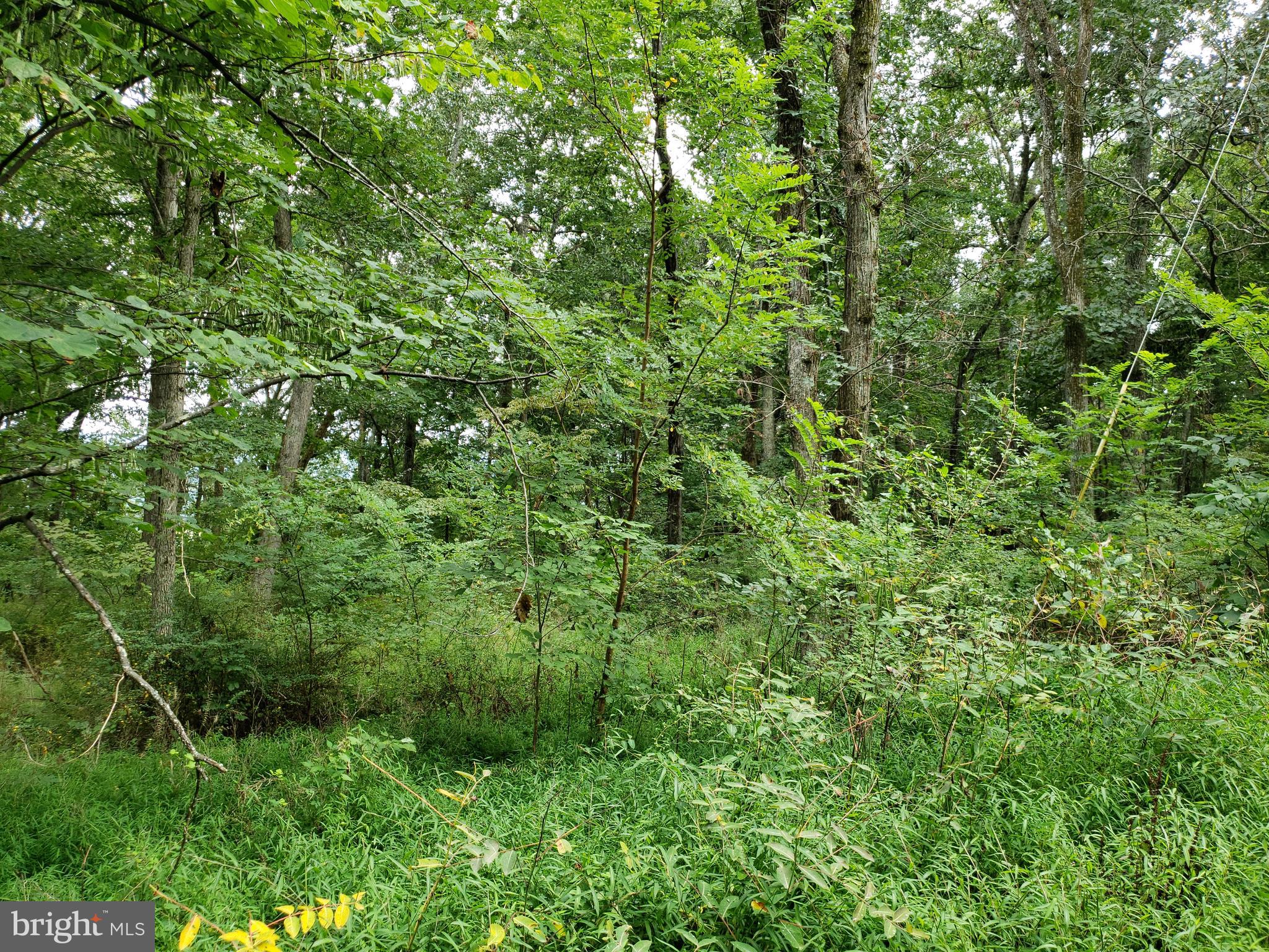 RITTERS HIDDEN VALLEY ESTATES - Land