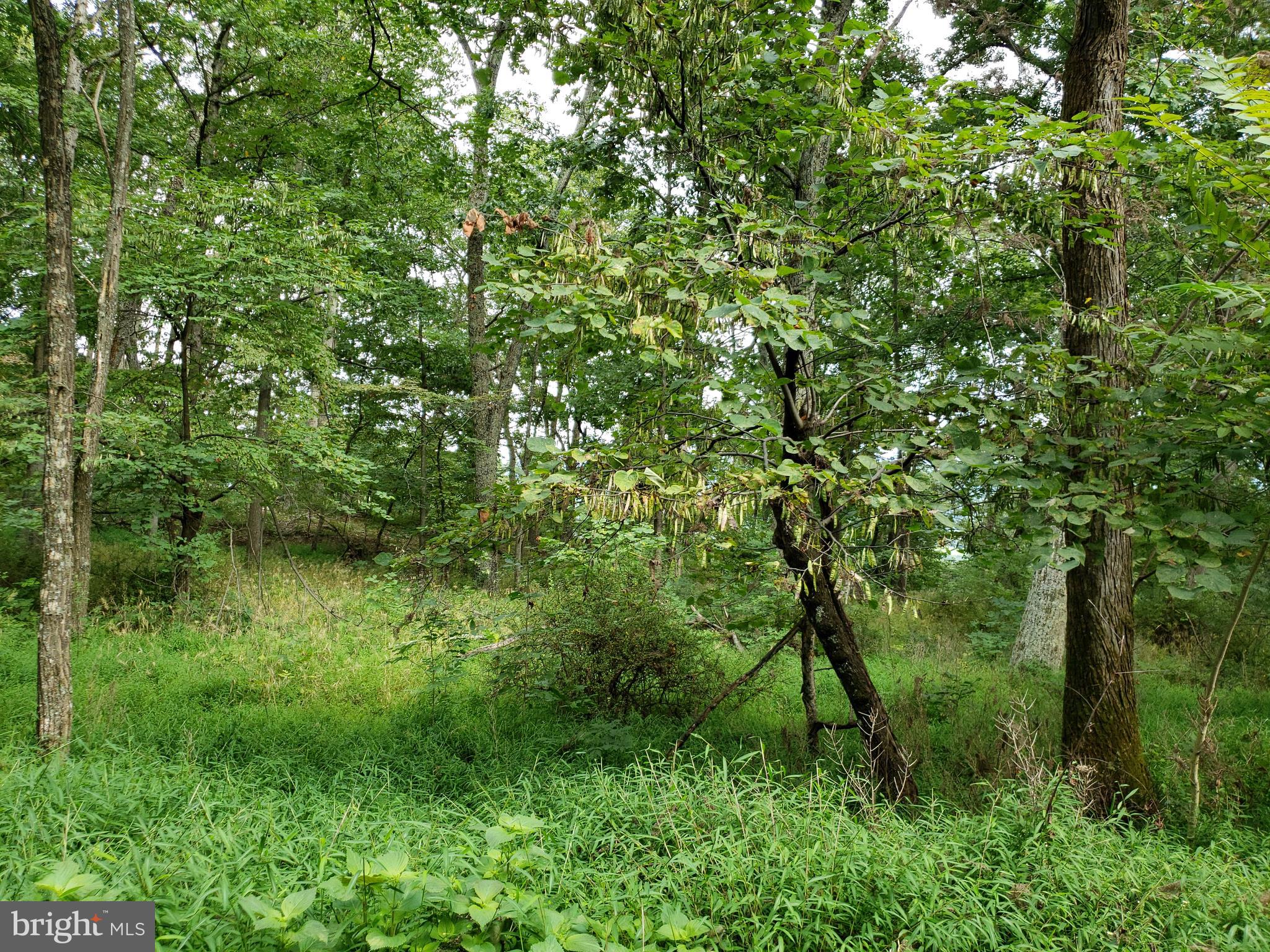 RITTERS HIDDEN VALLEY ESTATES - Land