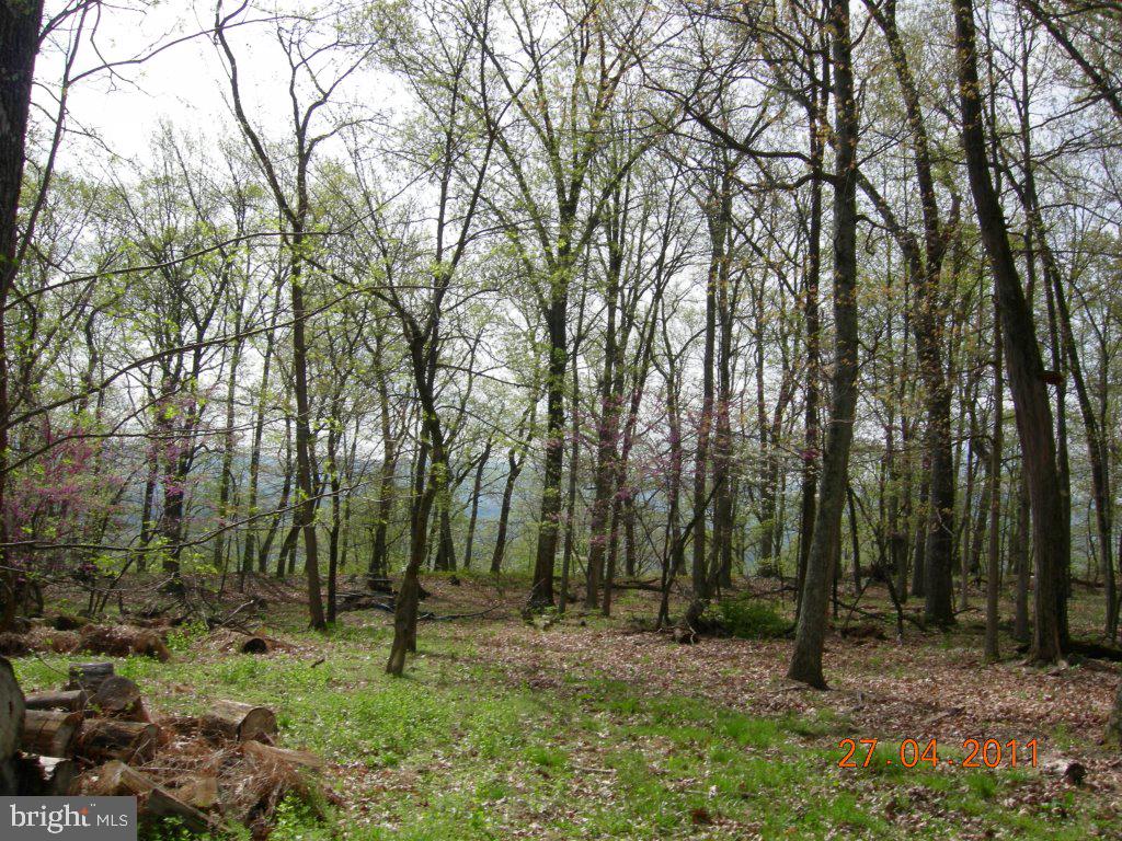 RITTERS HIDDEN VALLEY ESTATES - Land