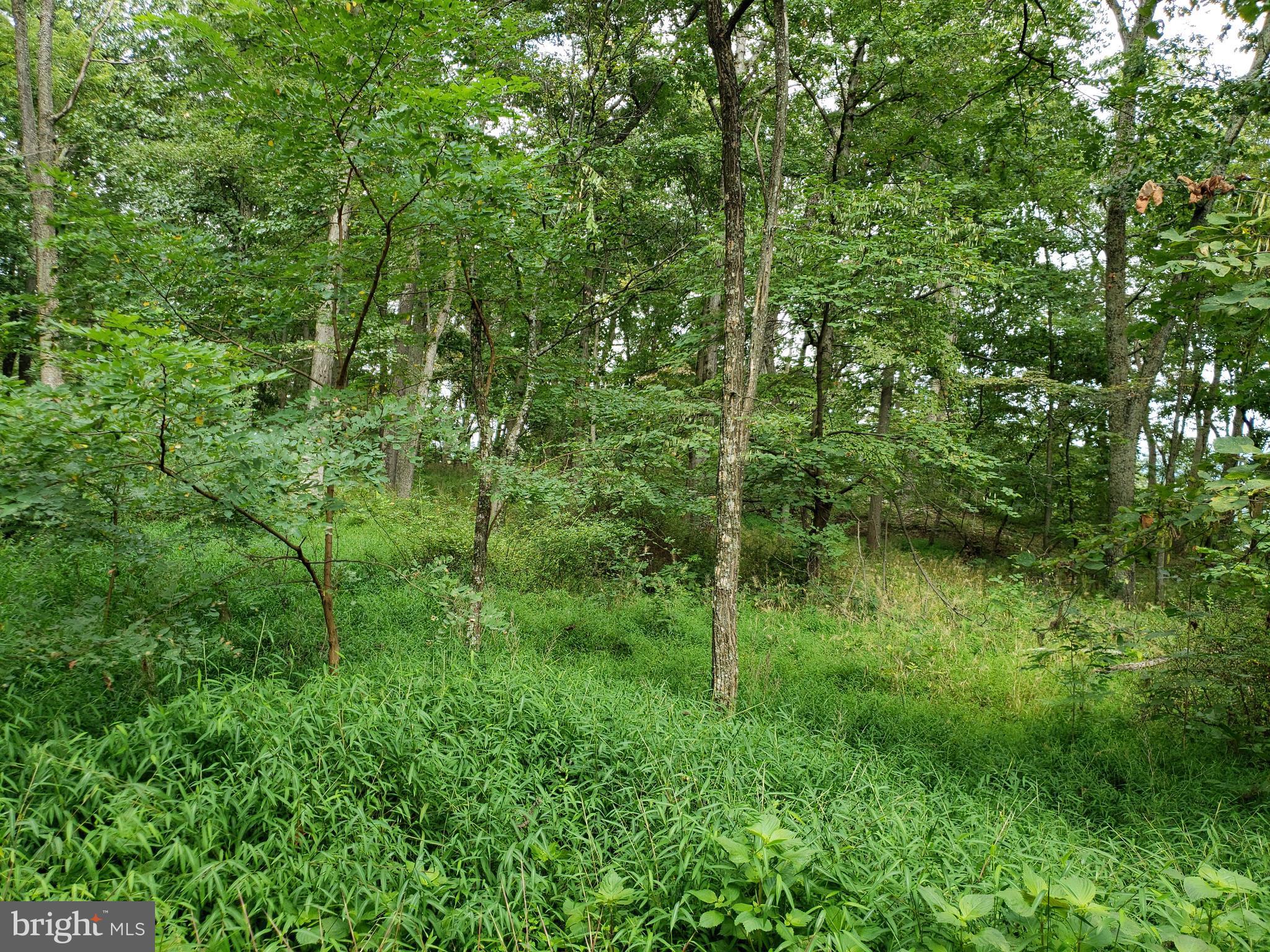 RITTERS HIDDEN VALLEY ESTATES - Land