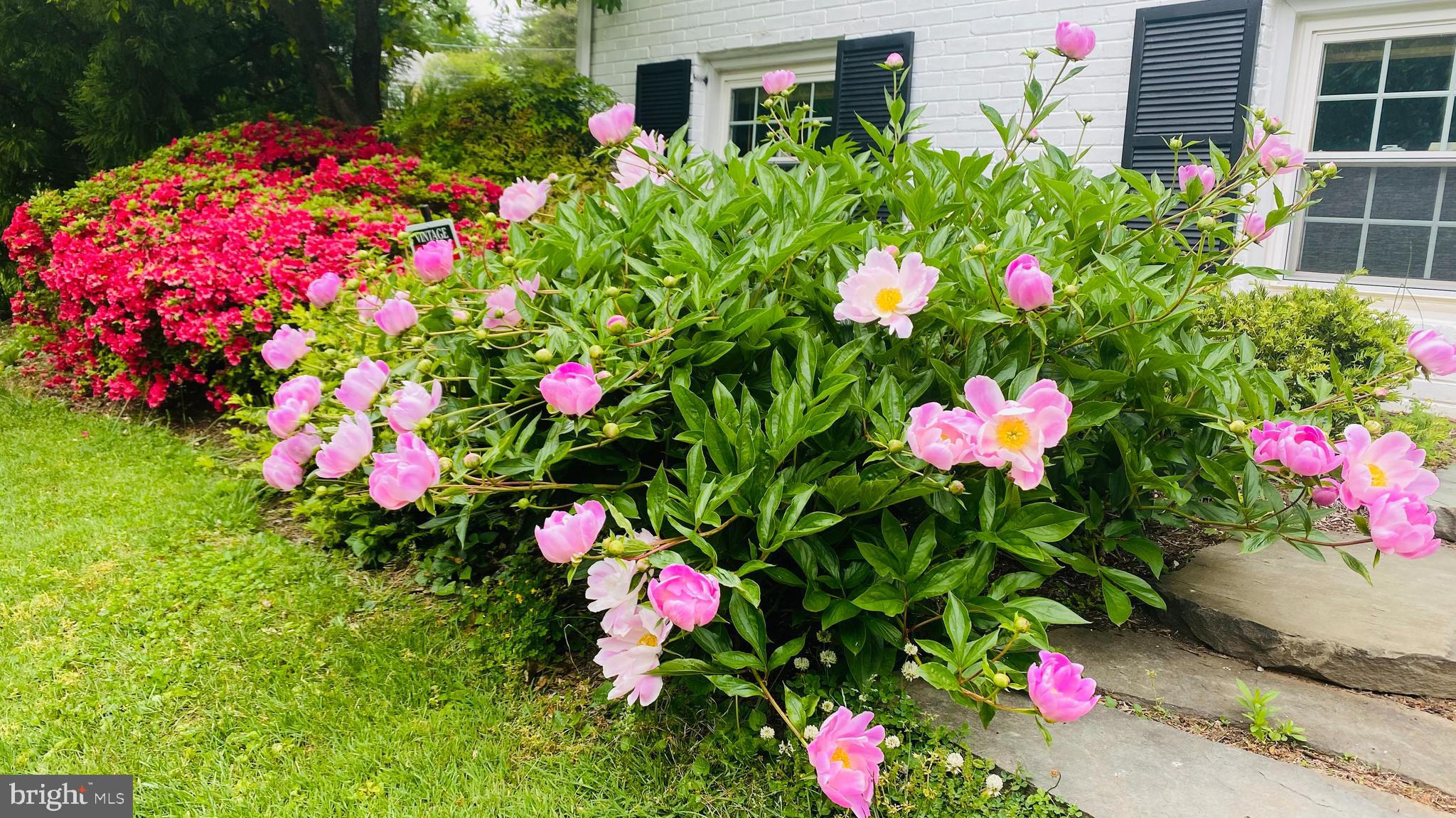 COHASSET - Residential