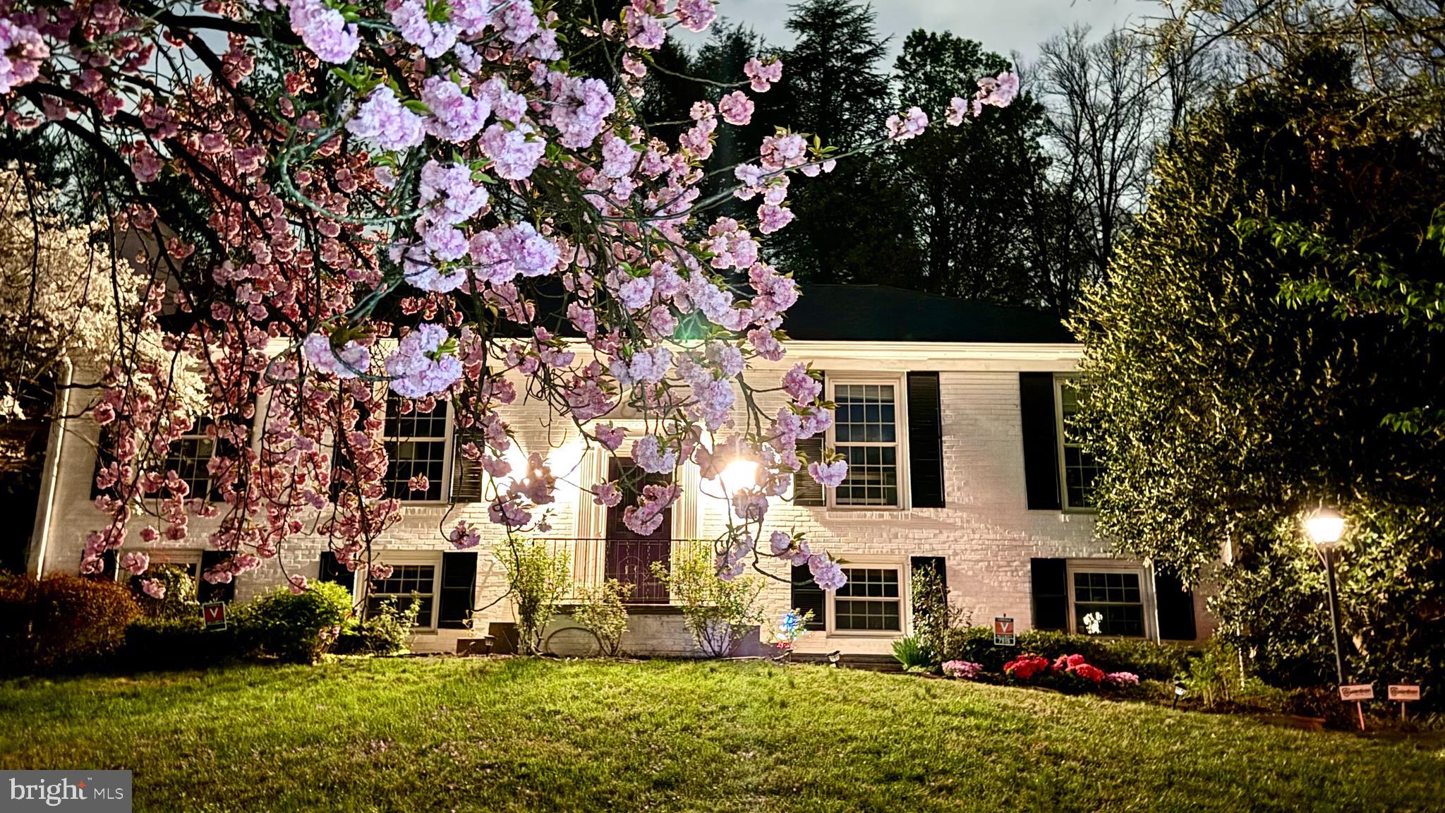 COHASSET - Residential