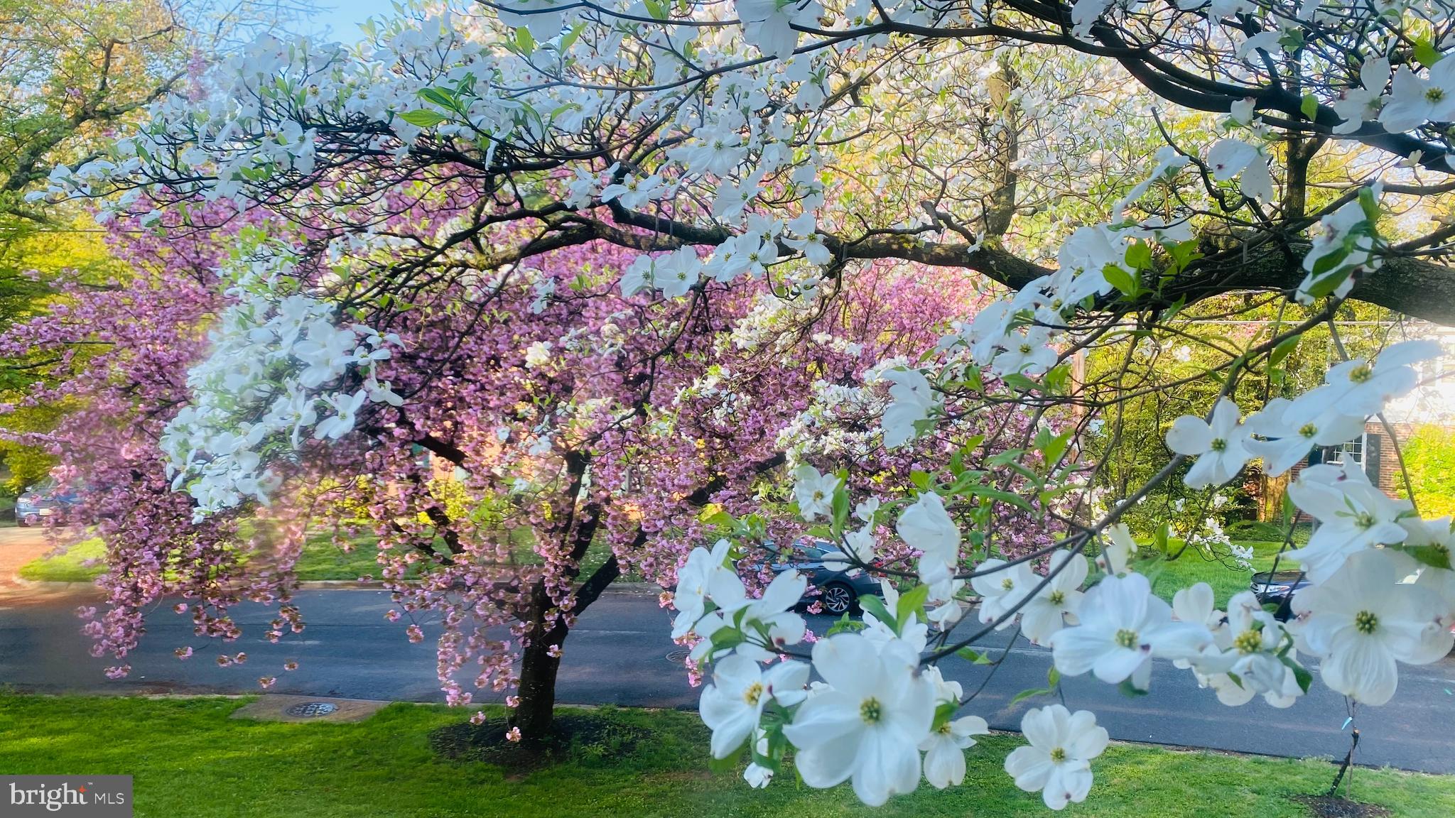 COHASSET - Residential