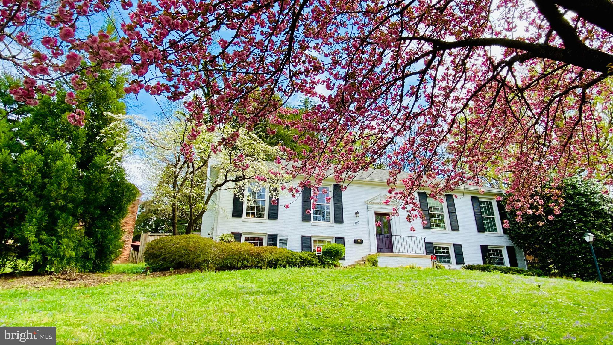 COHASSET - Residential