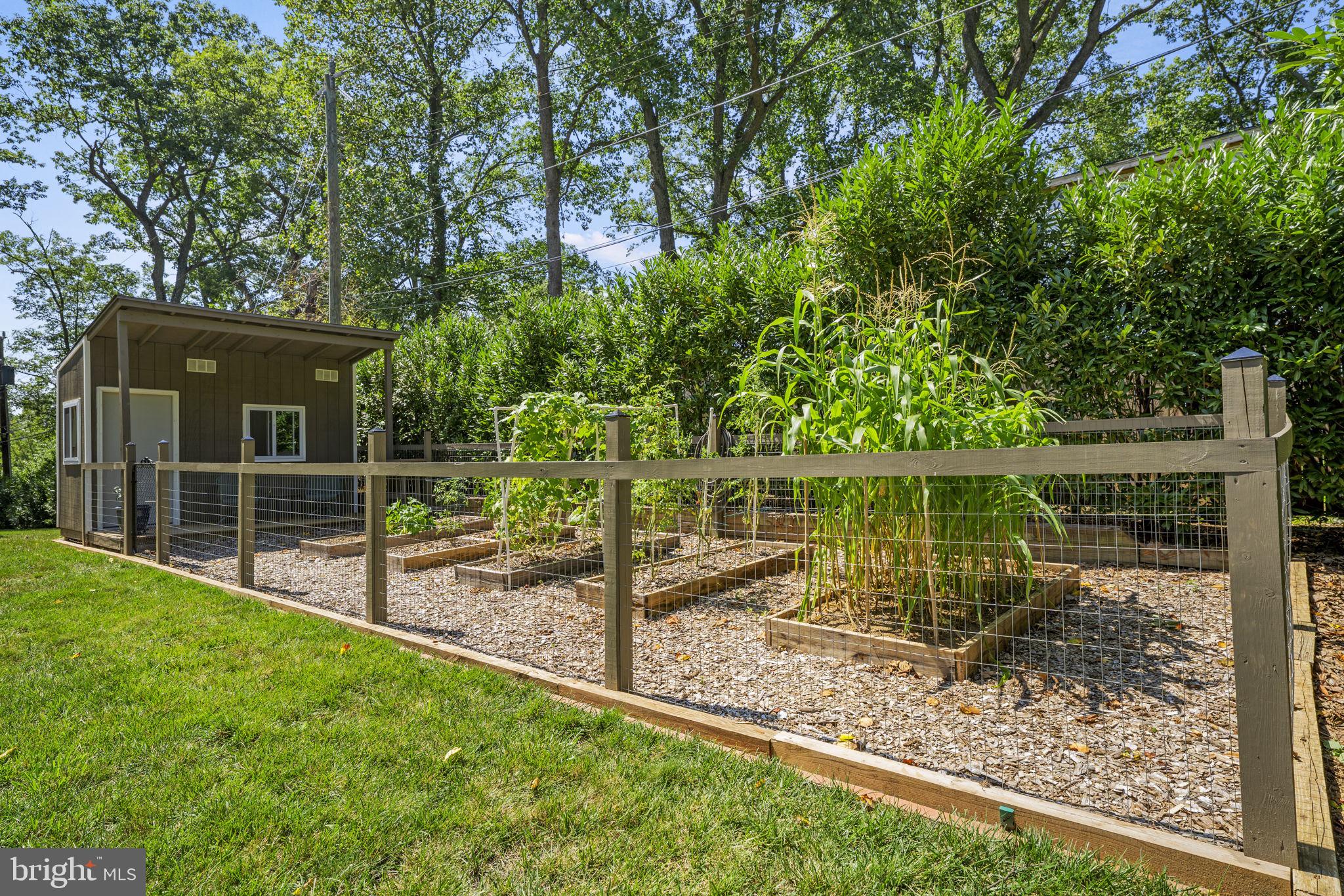 CARBOROUGH HEIGHTS - Residential