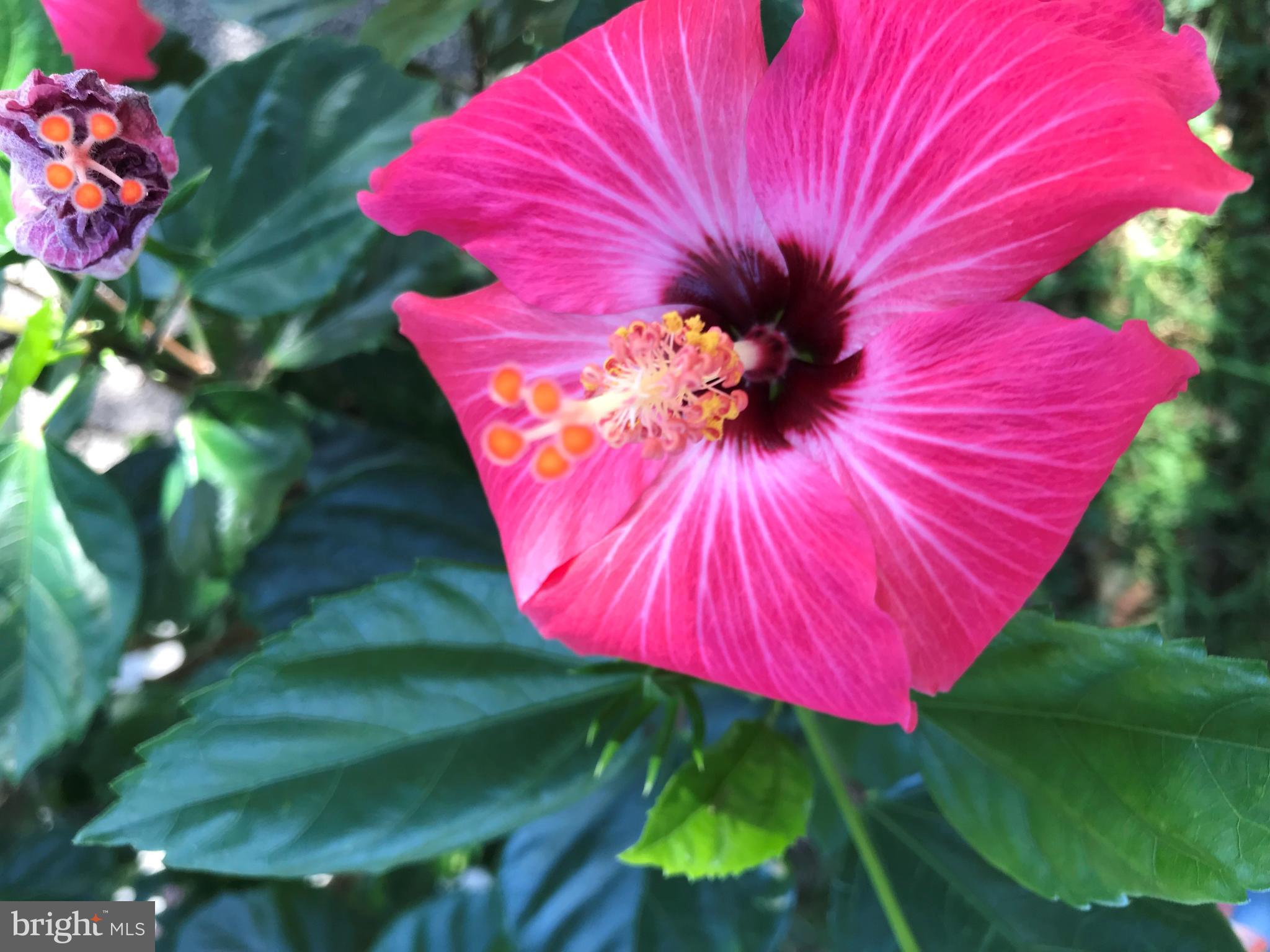 MONROE POINT - Residential Lease