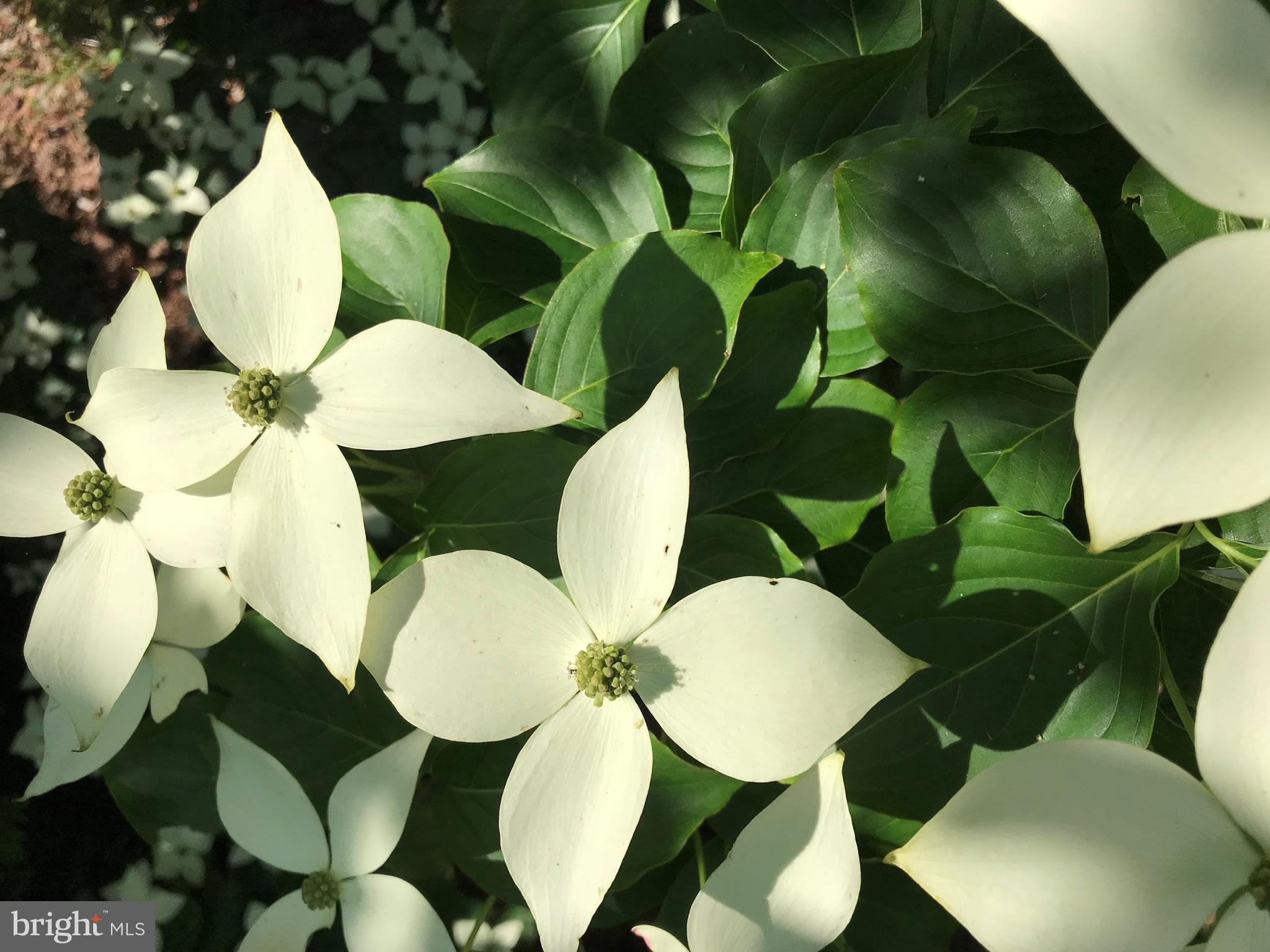 MONROE POINT - Residential Lease