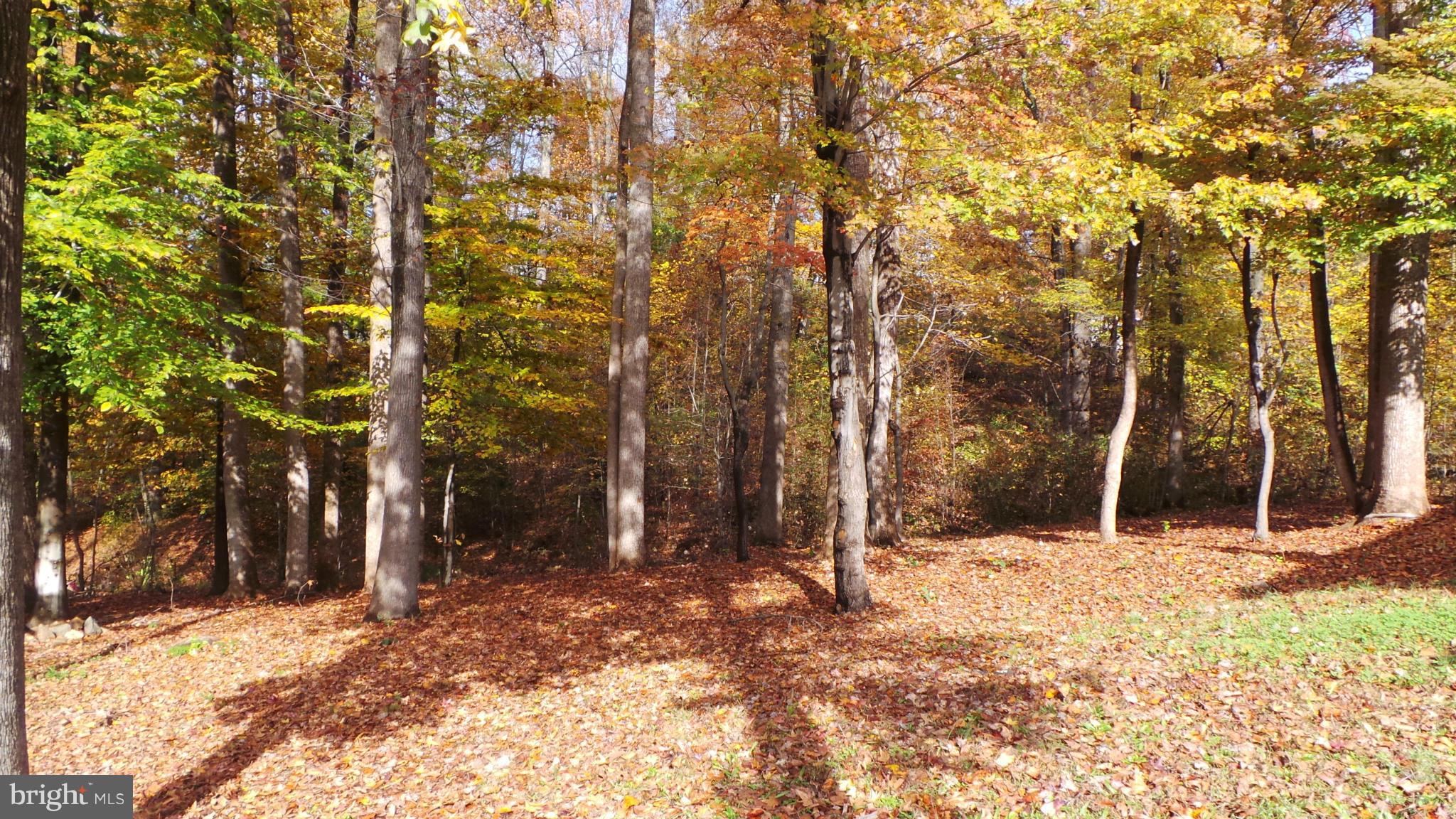 PRESIDENTIAL LAKES - Residential
