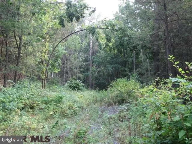 Additional image 2 of Lot 117 Two Mile Road, Howard, PA 16841