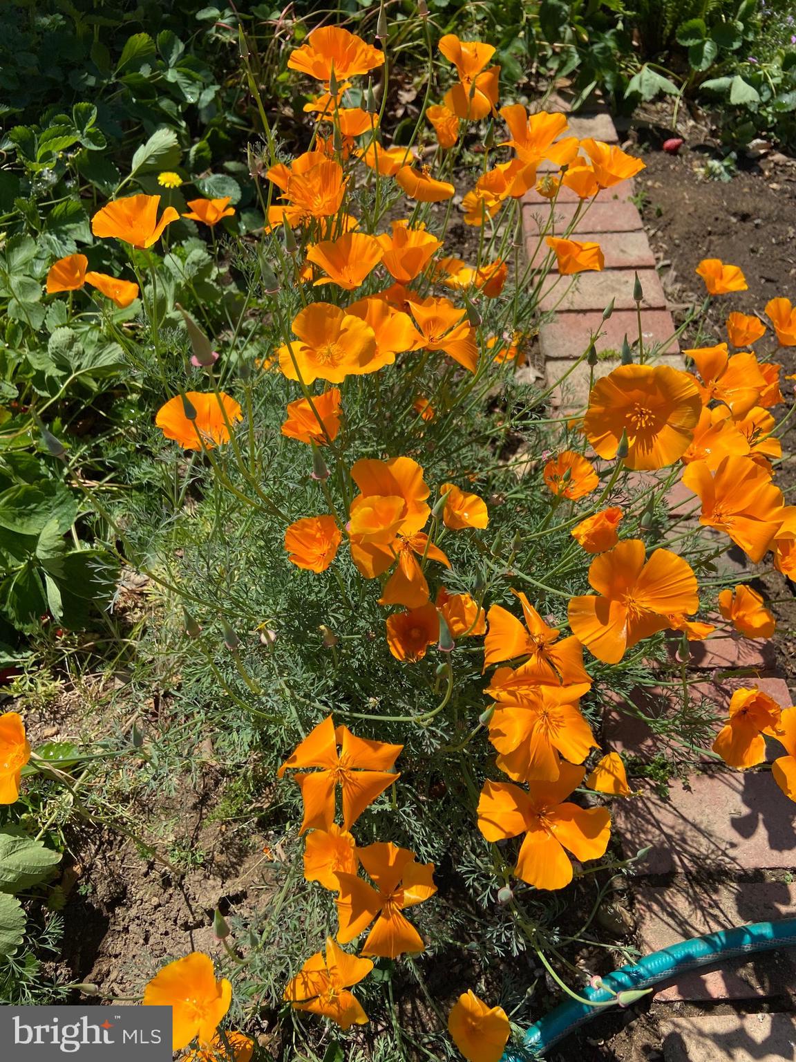 FORT BARNARD HEIGHTS - Residential