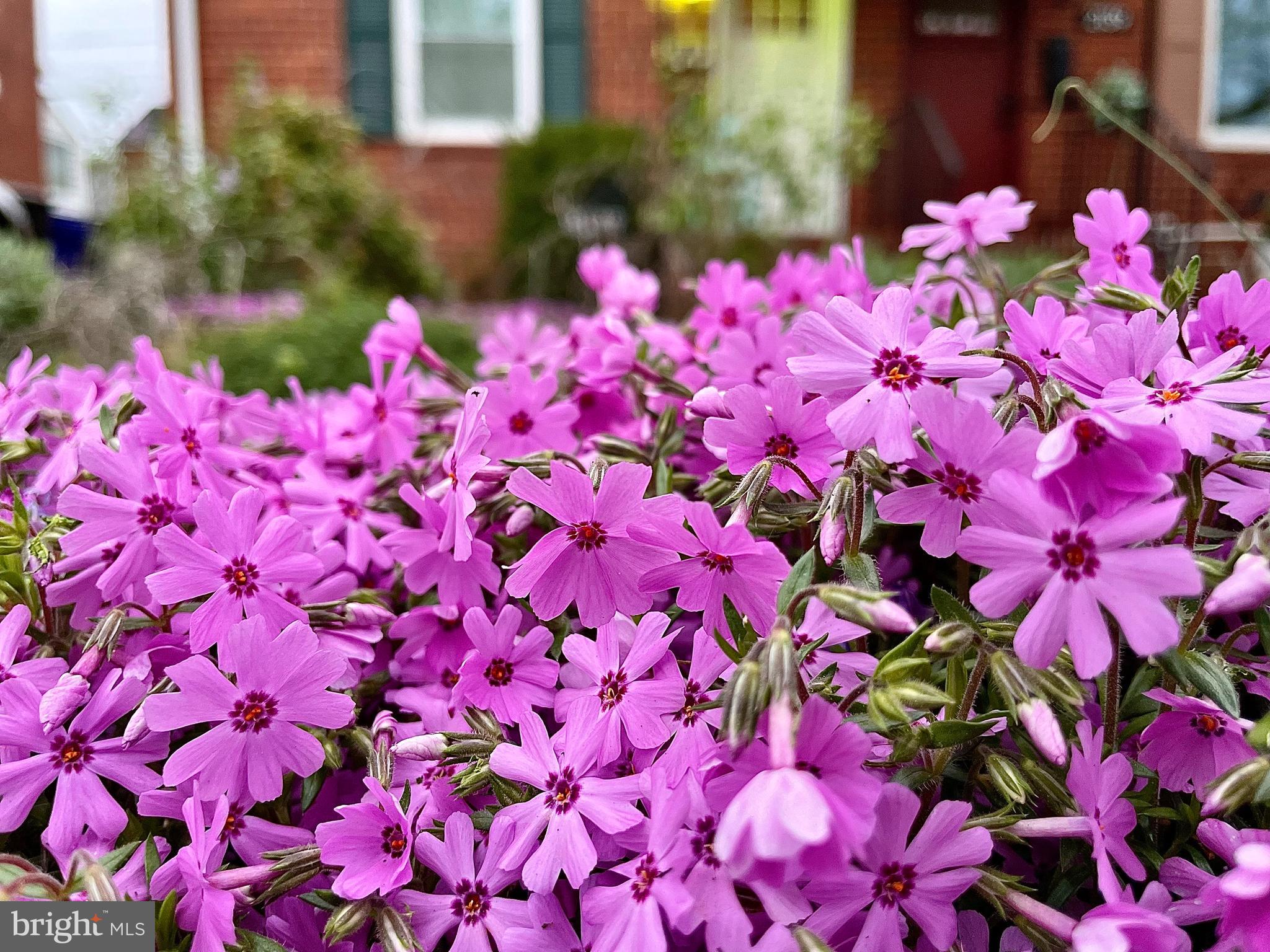 FORT BARNARD HEIGHTS - Residential