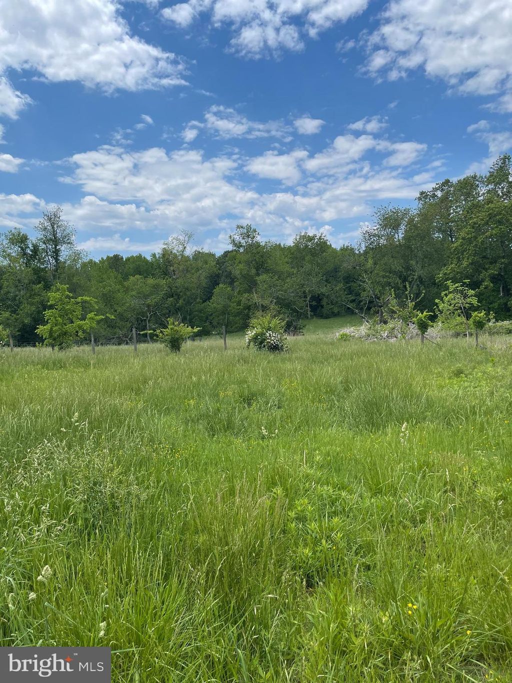 Photo of 38888 Reeves Road, MECHANICSVILLE, MD 20659 (MLS # MDSM2027924)