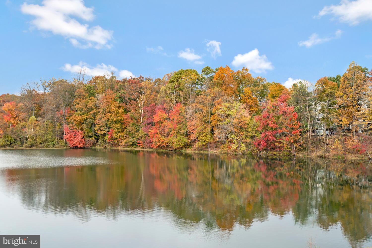 WATERS HOUSE - Residential
