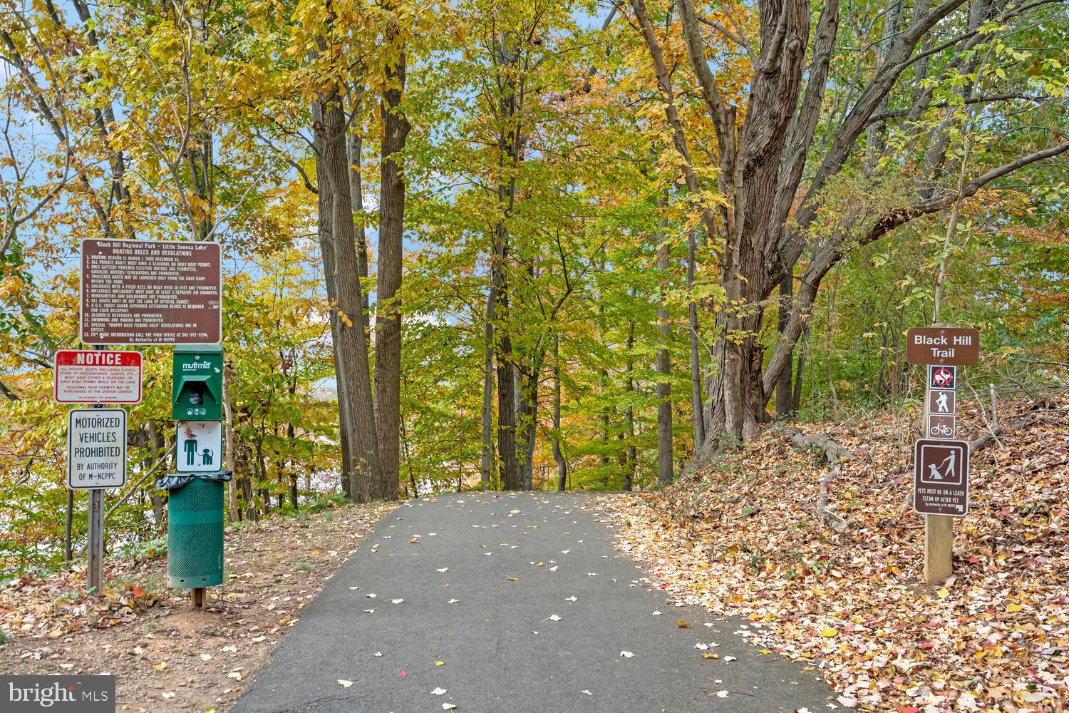 WATERS HOUSE - Residential