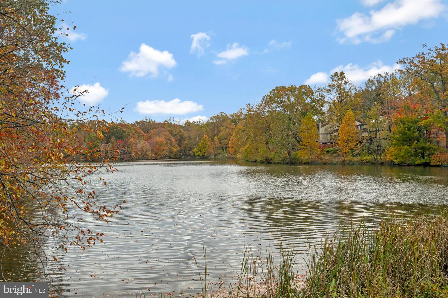 WATERS HOUSE - Residential