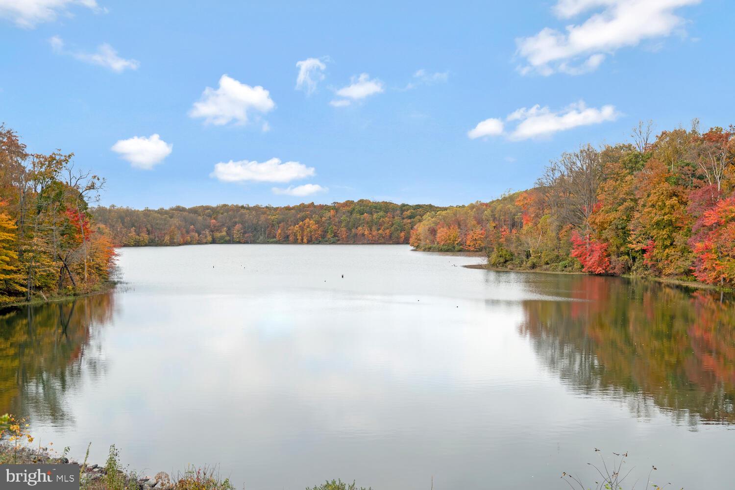 WATERS HOUSE - Residential