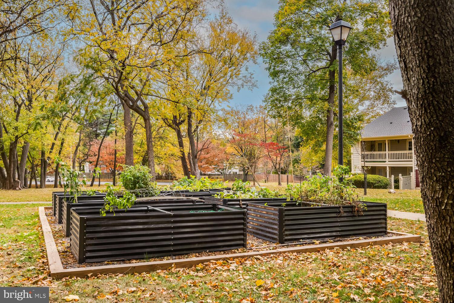 WATERS HOUSE - Residential