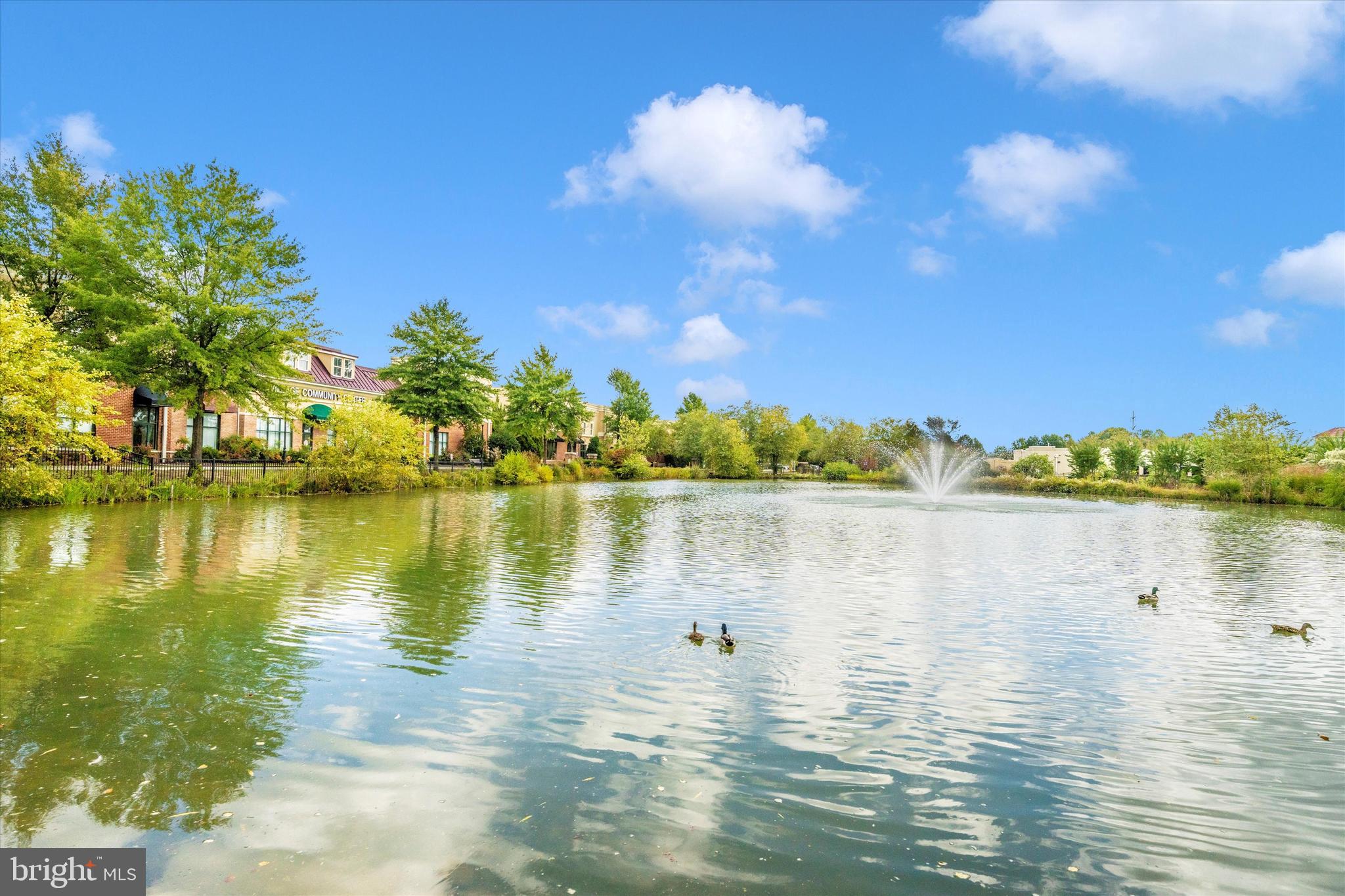 THE VILLAGE AT WAUGH CHAPEL - Residential