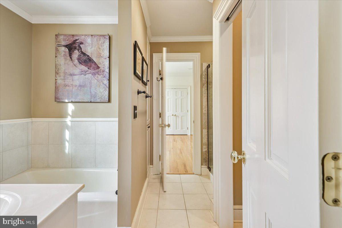 WILLIAMSBURG COMMONS - Residential