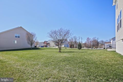 listing image 41