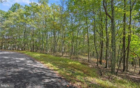 Vacant Land For Sale - Stone Ridge Road<br/> ALBRIGHTSVILLE, PA 18210