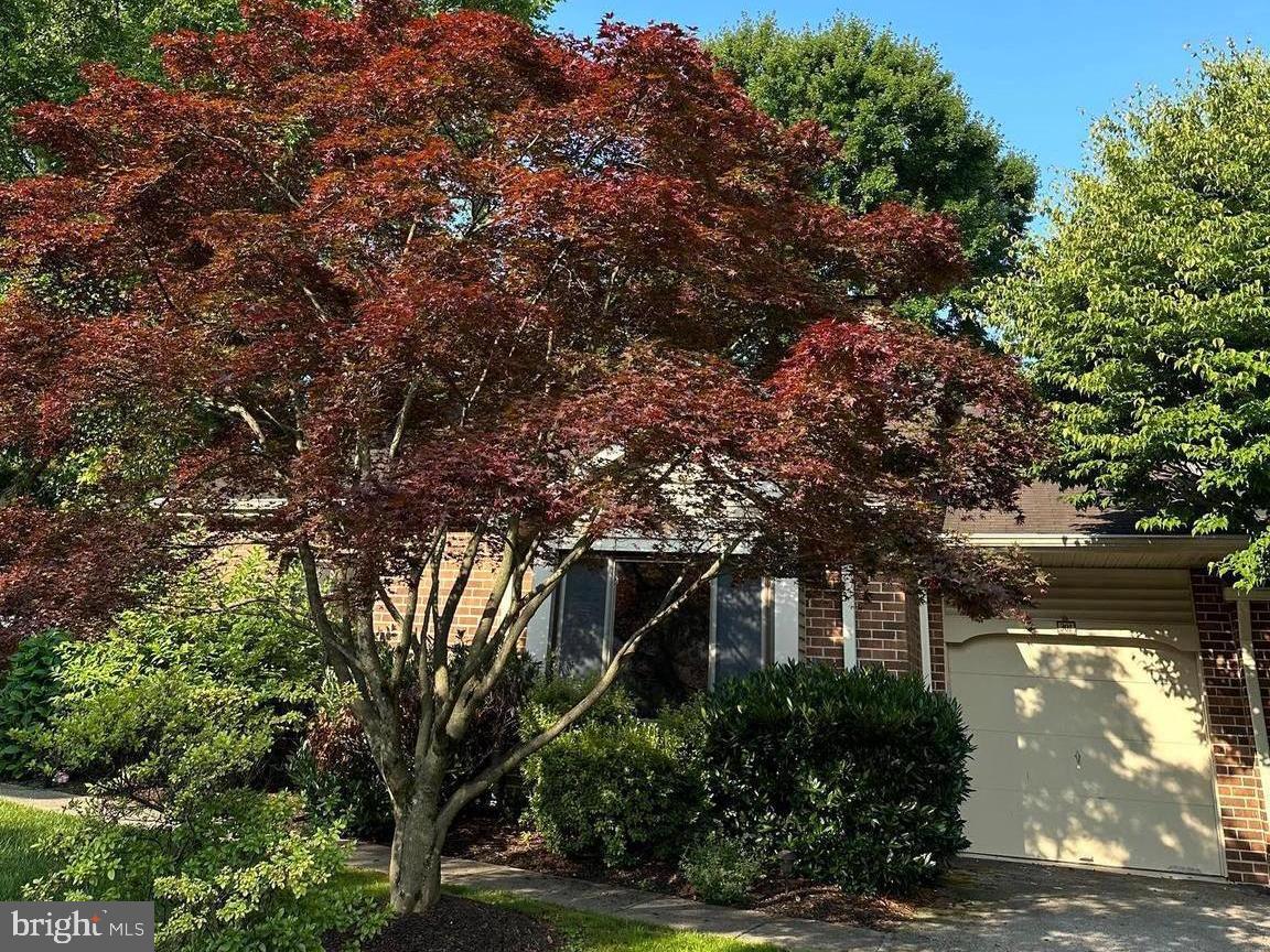 Welcome to 301 Hanover Court- this wonderful property is located at the end of a cul de sac with privacy and a large beautifully landscaped lot! The inviting foyer welcomes you, leading to the kitchen with updated stainless appliances and a large eat in area. There is a large family room with a brick hearth fireplace. Adjacent to the hallway, a spacious living room area with glass doors opens to a large patio bordering generous open space. The main bedroom has a full bath, 2 closets/ one large walk in closet! There is a second bedroom and closet. Down the hallway is another full bath and linen closet. The lower level offers plenty of room for indoor/game activities. Pets considered on case by case basis.
This property is located in sought after T/E school district, close to Chesterbrook Shopping Center, and all major routes. The location is unique and quiet with great views!