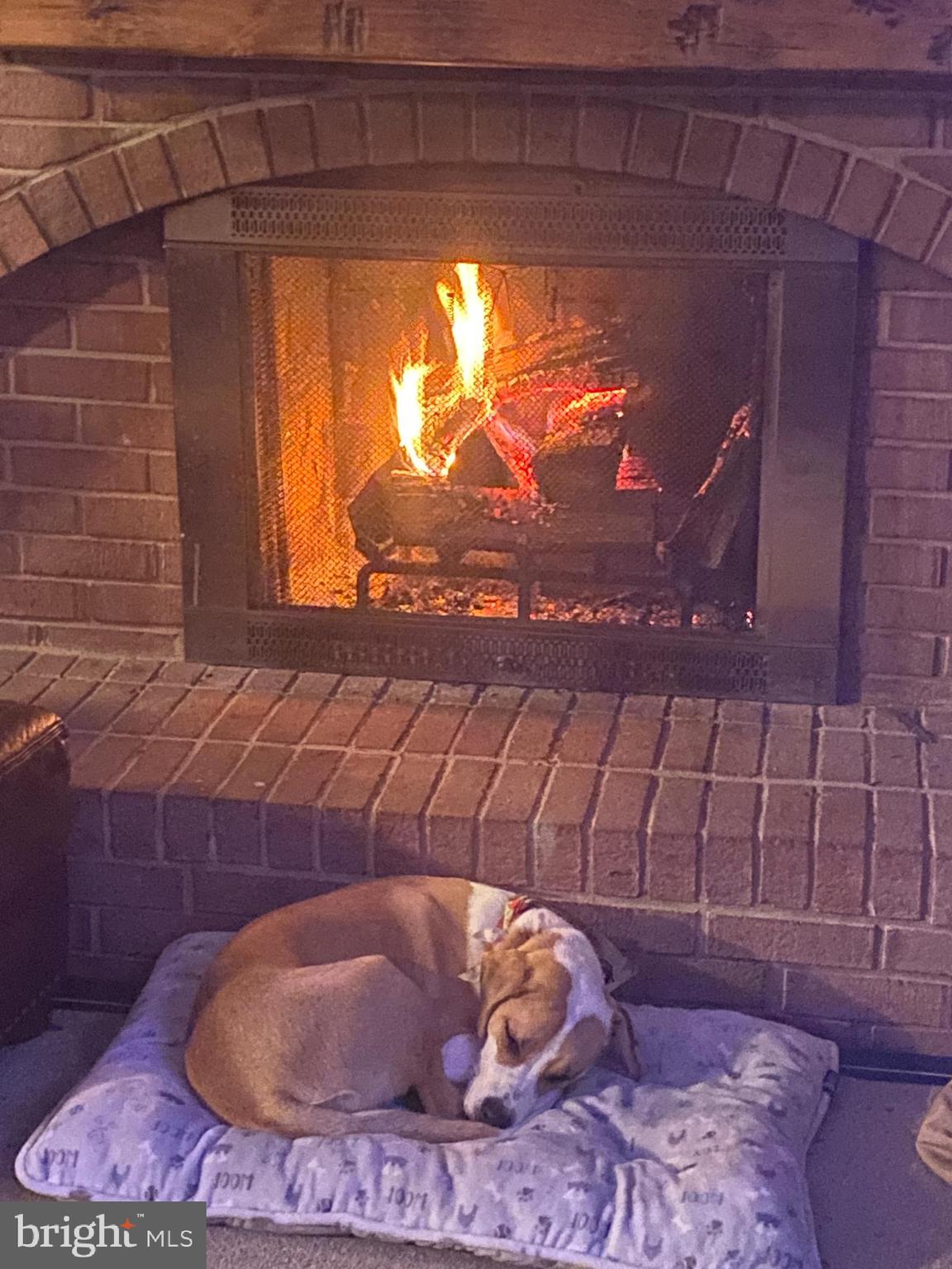 RED HILL - Residential