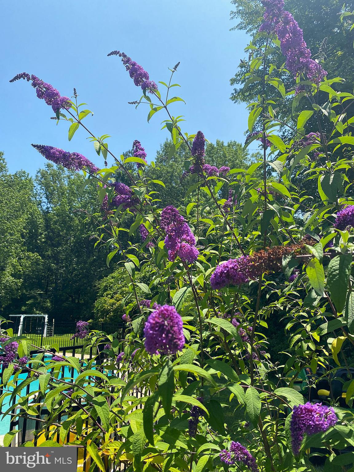 RED HILL - Residential