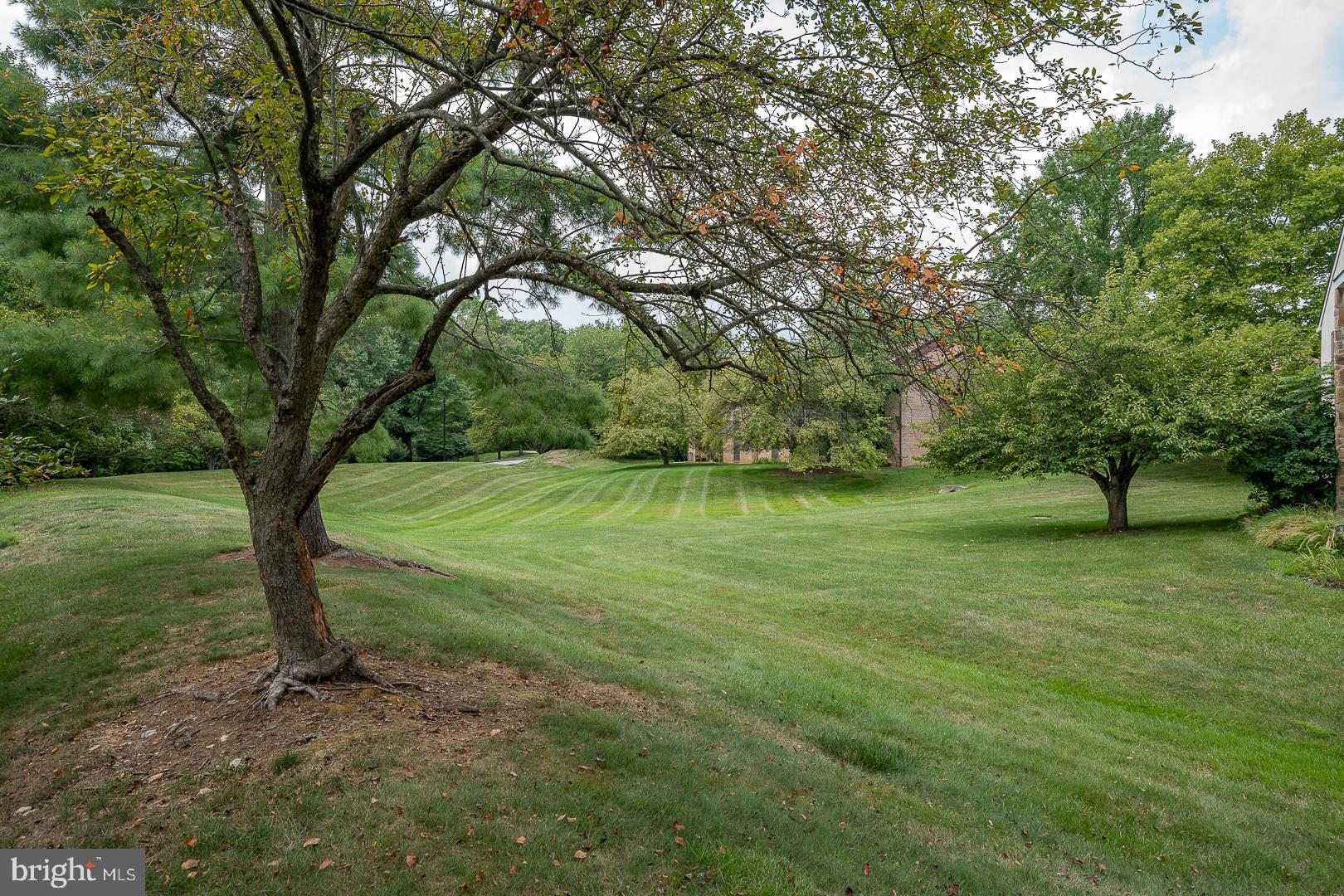 CHESTERBROOK - Residential Lease