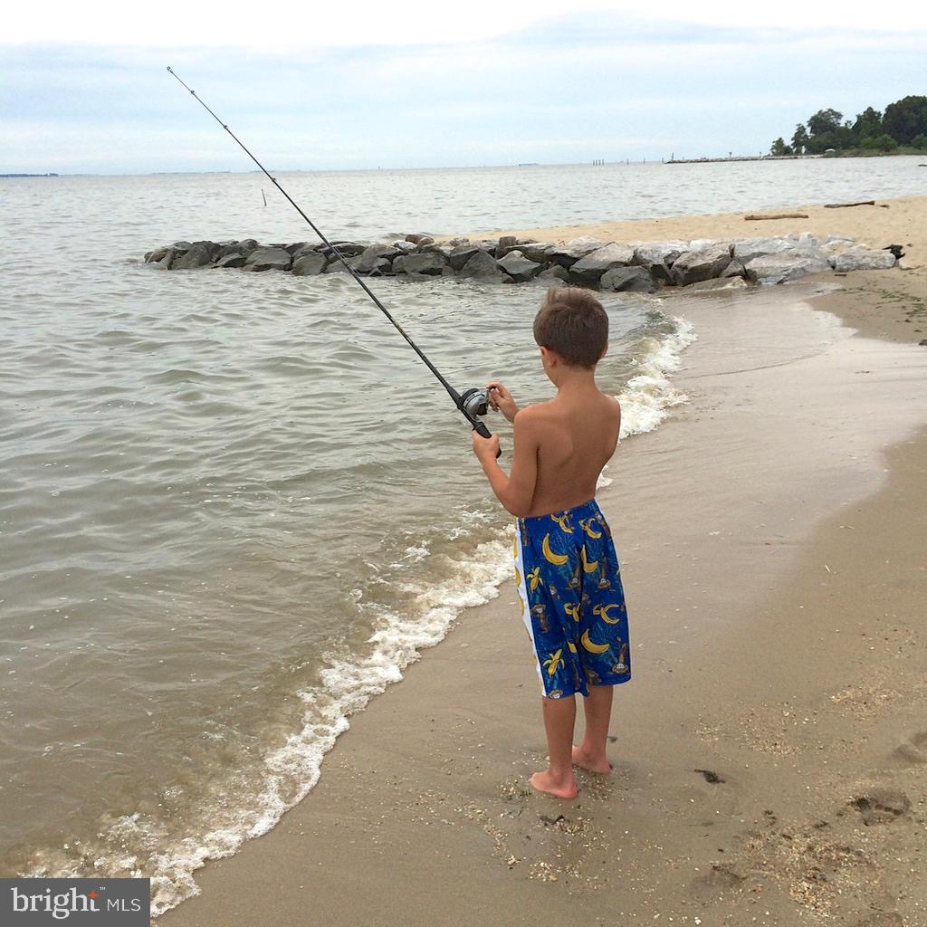 SHOREHAM BEACH - Residential