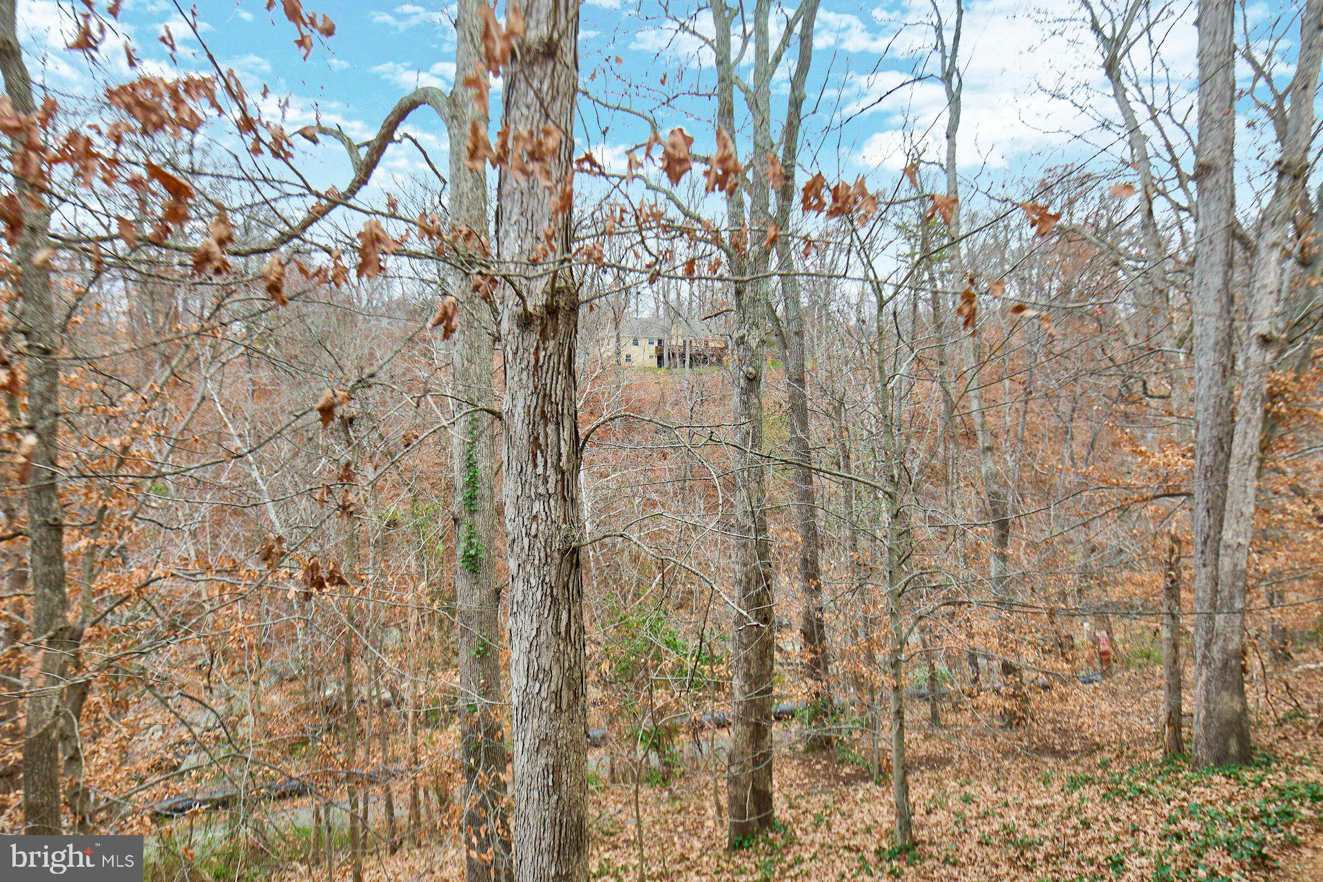 NEWINGTON STATION - Residential