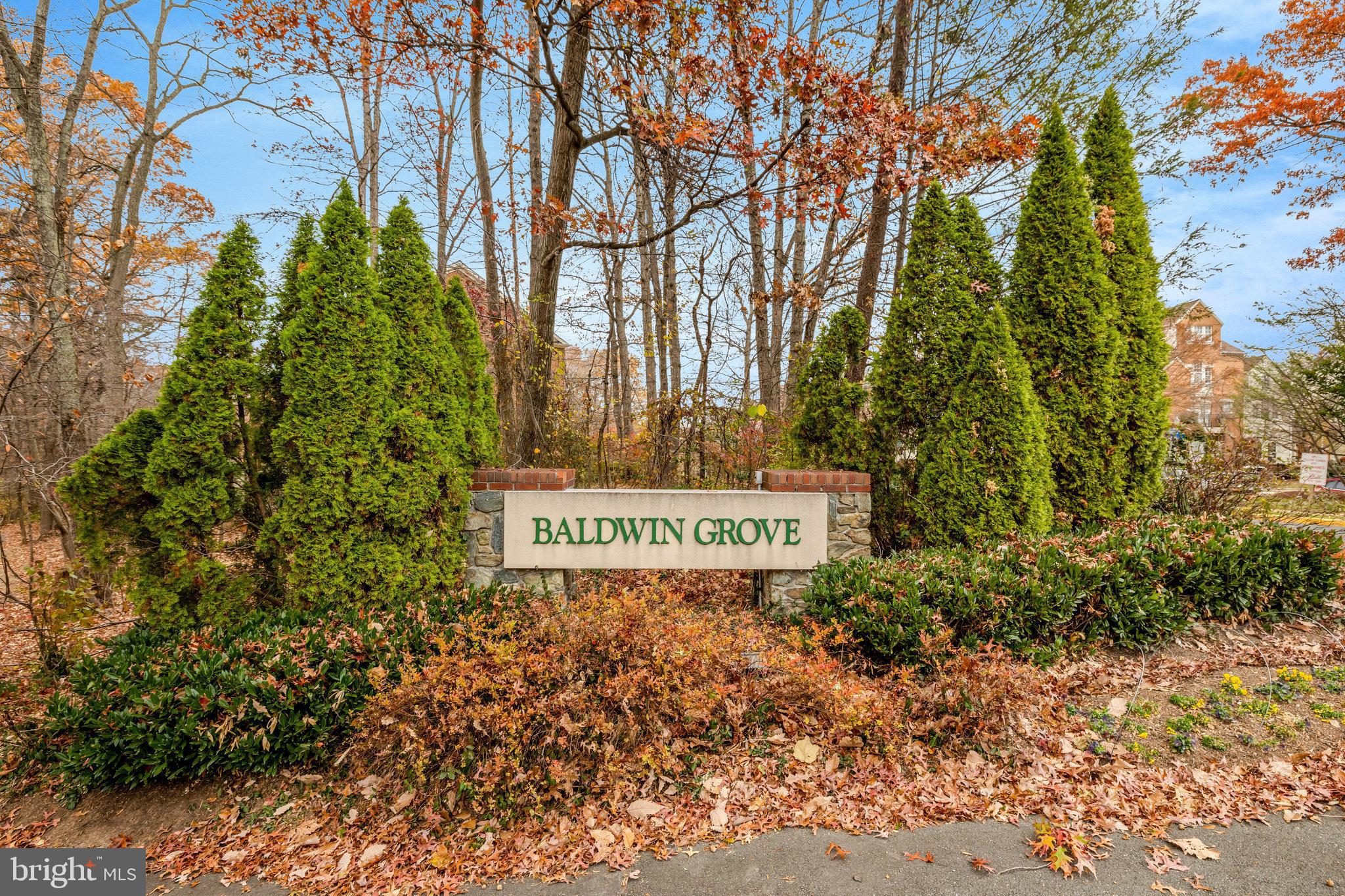 BALDWIN GROVE - Residential
