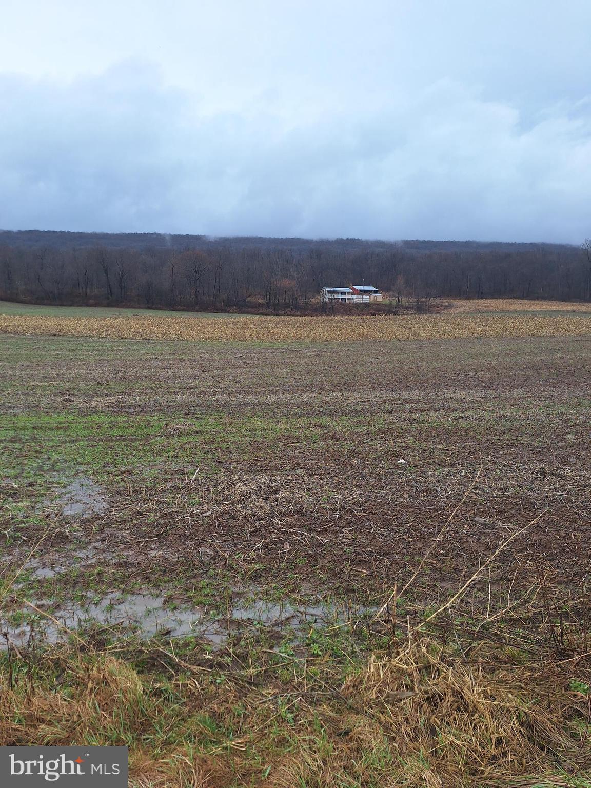 5172 RACCOON VALLEY ROAD