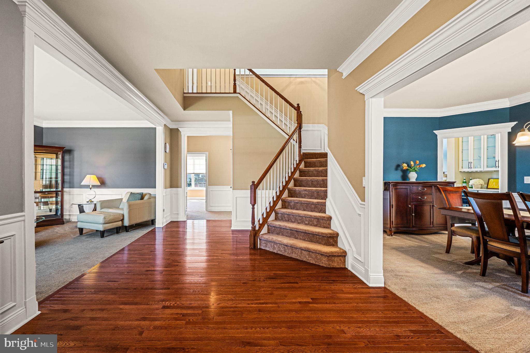 CHESTNUT RIDGE ESTATES - Residential