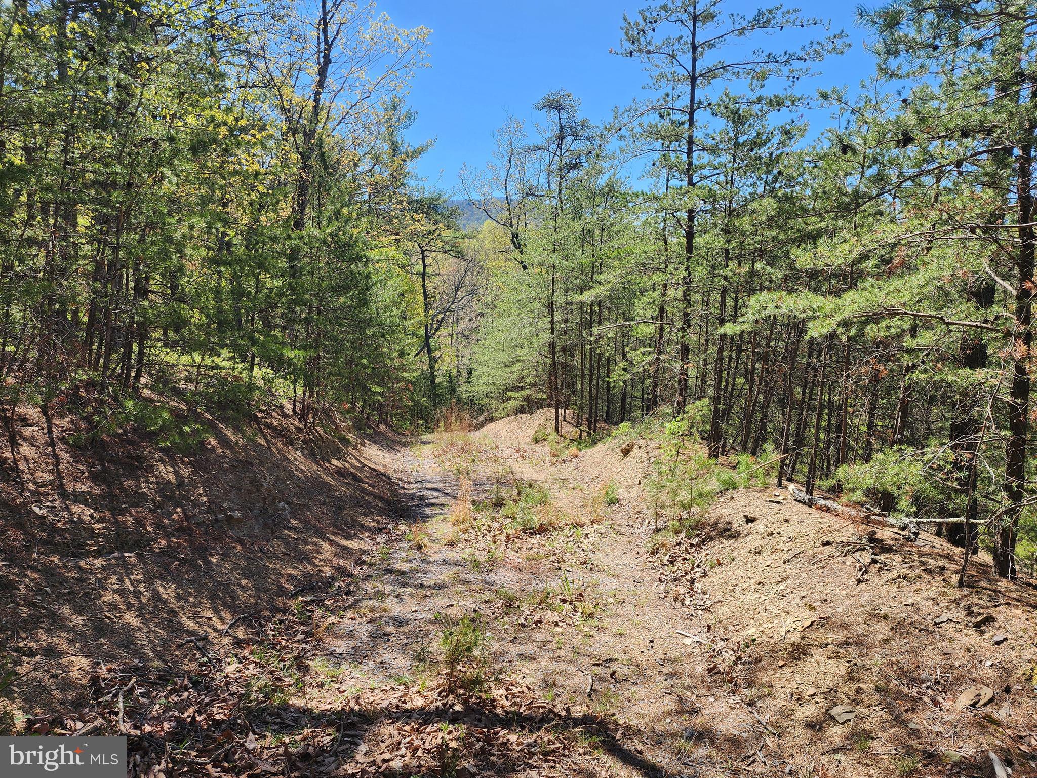 POTOMAC VALLEY OVERLOOK - Land
