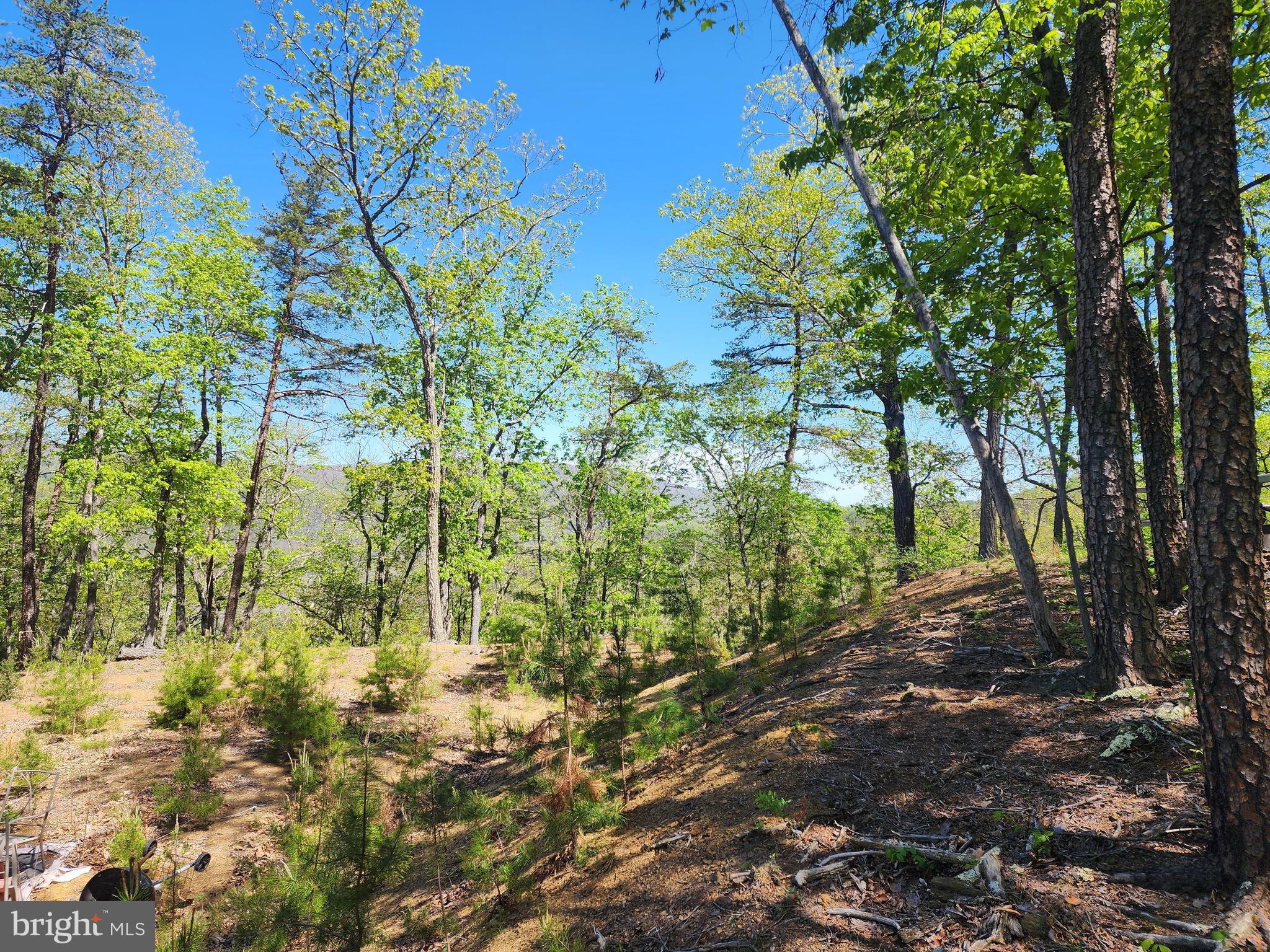 POTOMAC VALLEY OVERLOOK - Land