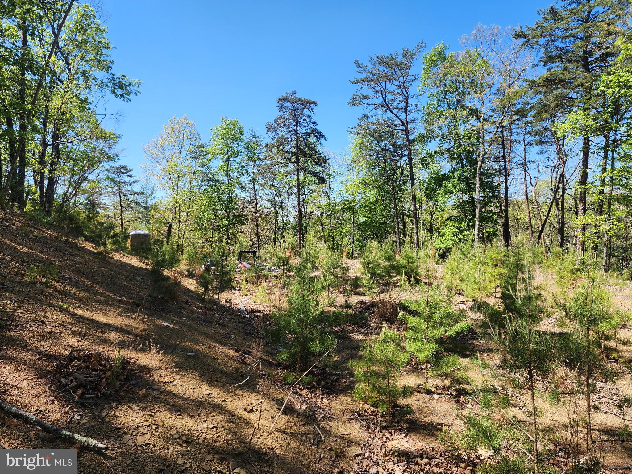 POTOMAC VALLEY OVERLOOK - Land