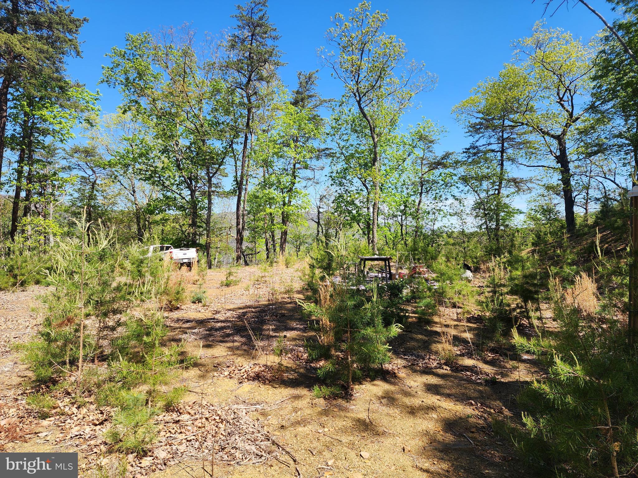POTOMAC VALLEY OVERLOOK - Land