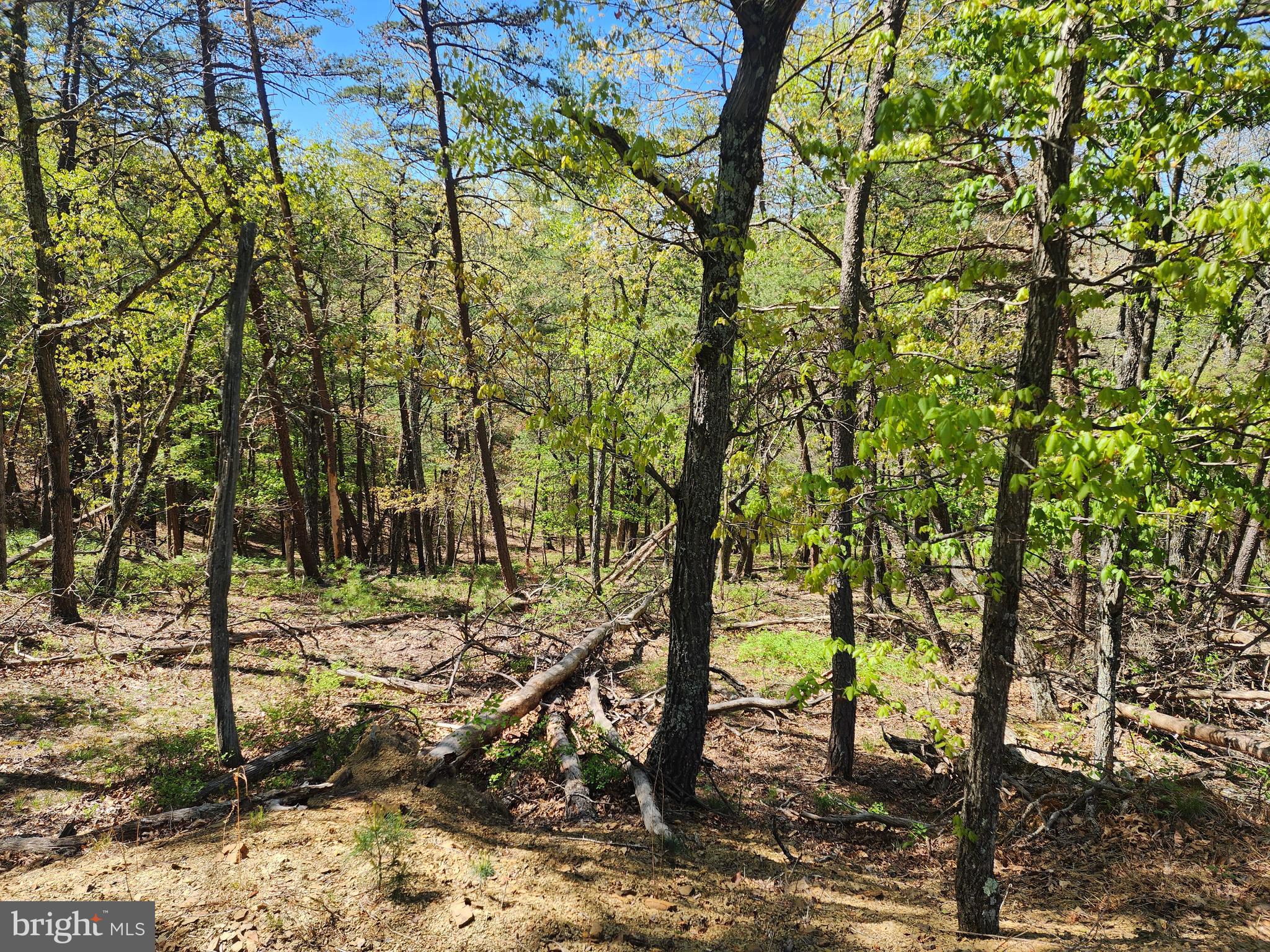 POTOMAC VALLEY OVERLOOK - Land