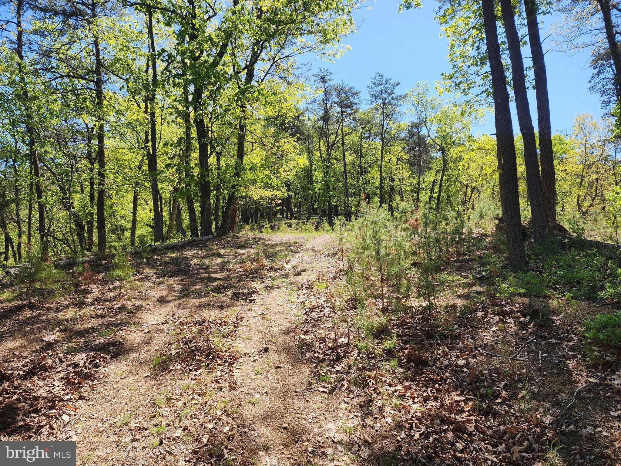 POTOMAC VALLEY OVERLOOK - Land