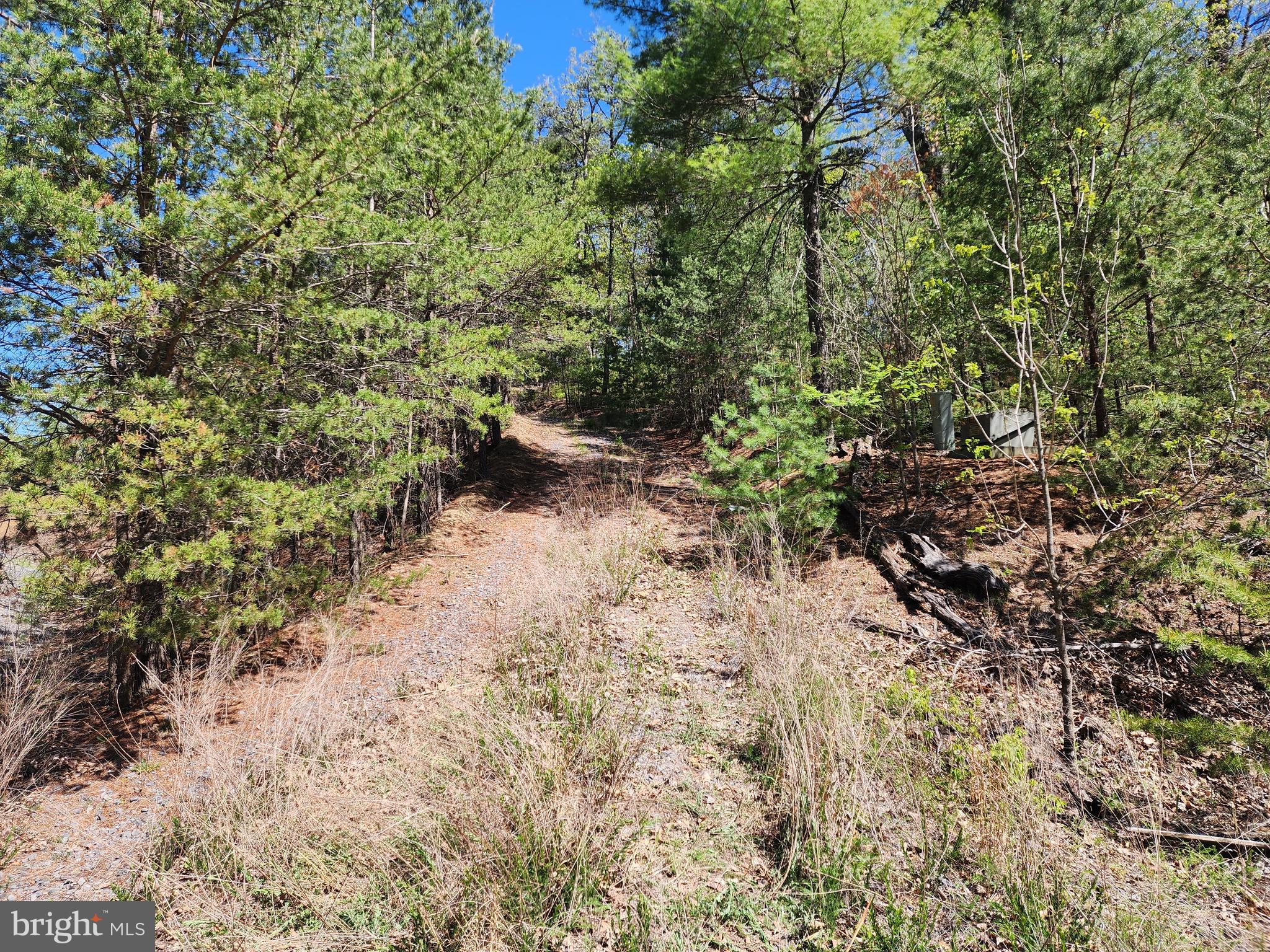 POTOMAC VALLEY OVERLOOK - Land