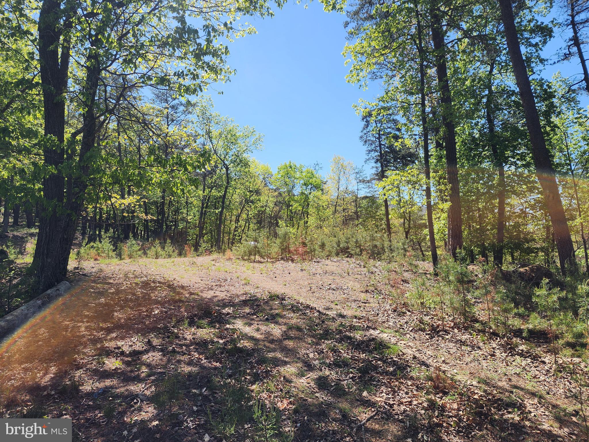 POTOMAC VALLEY OVERLOOK - Land