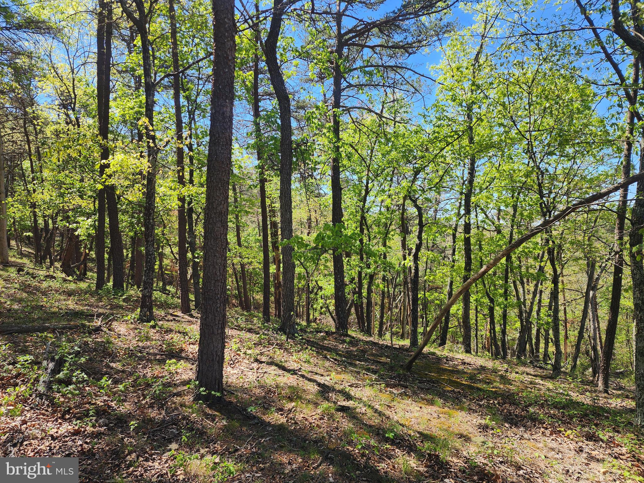 POTOMAC VALLEY OVERLOOK - Land