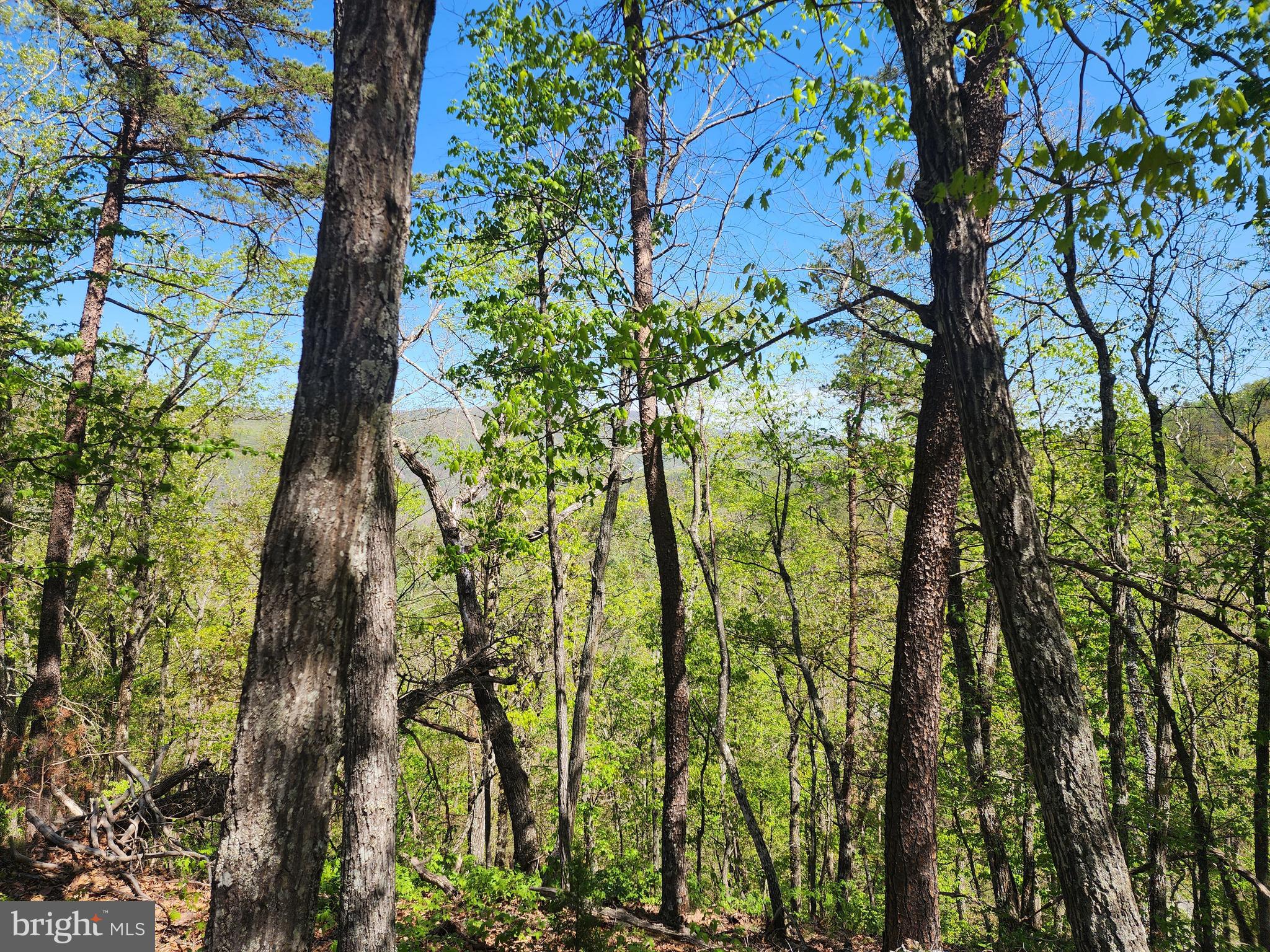POTOMAC VALLEY OVERLOOK - Land