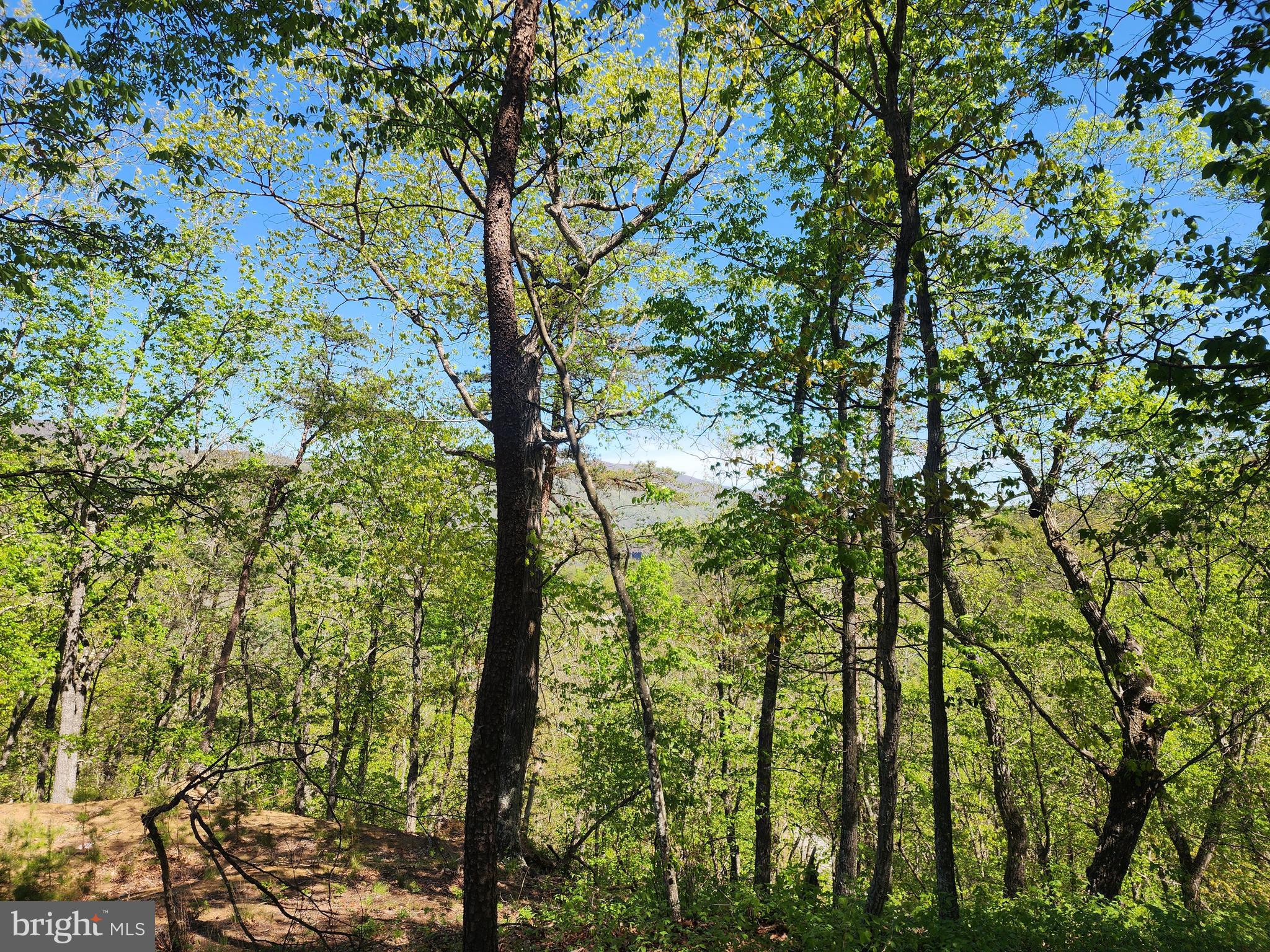 POTOMAC VALLEY OVERLOOK - Land