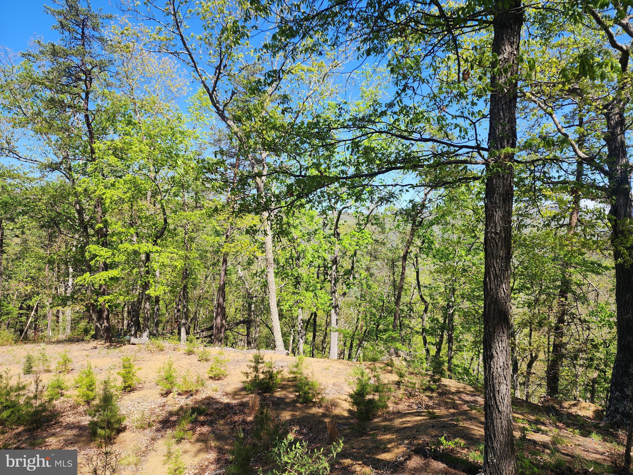 POTOMAC VALLEY OVERLOOK - Land